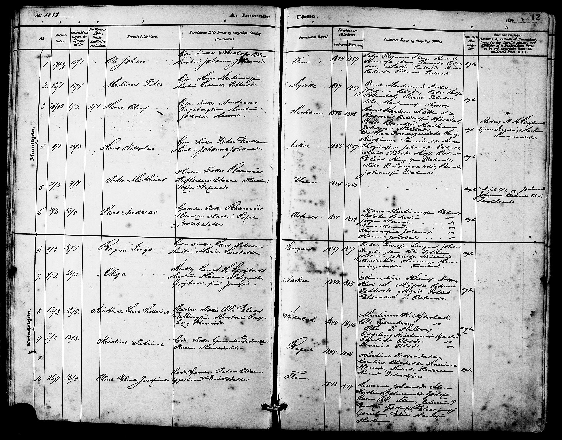 Ministerialprotokoller, klokkerbøker og fødselsregistre - Møre og Romsdal, AV/SAT-A-1454/536/L0510: Parish register (copy) no. 536C05, 1881-1898, p. 12