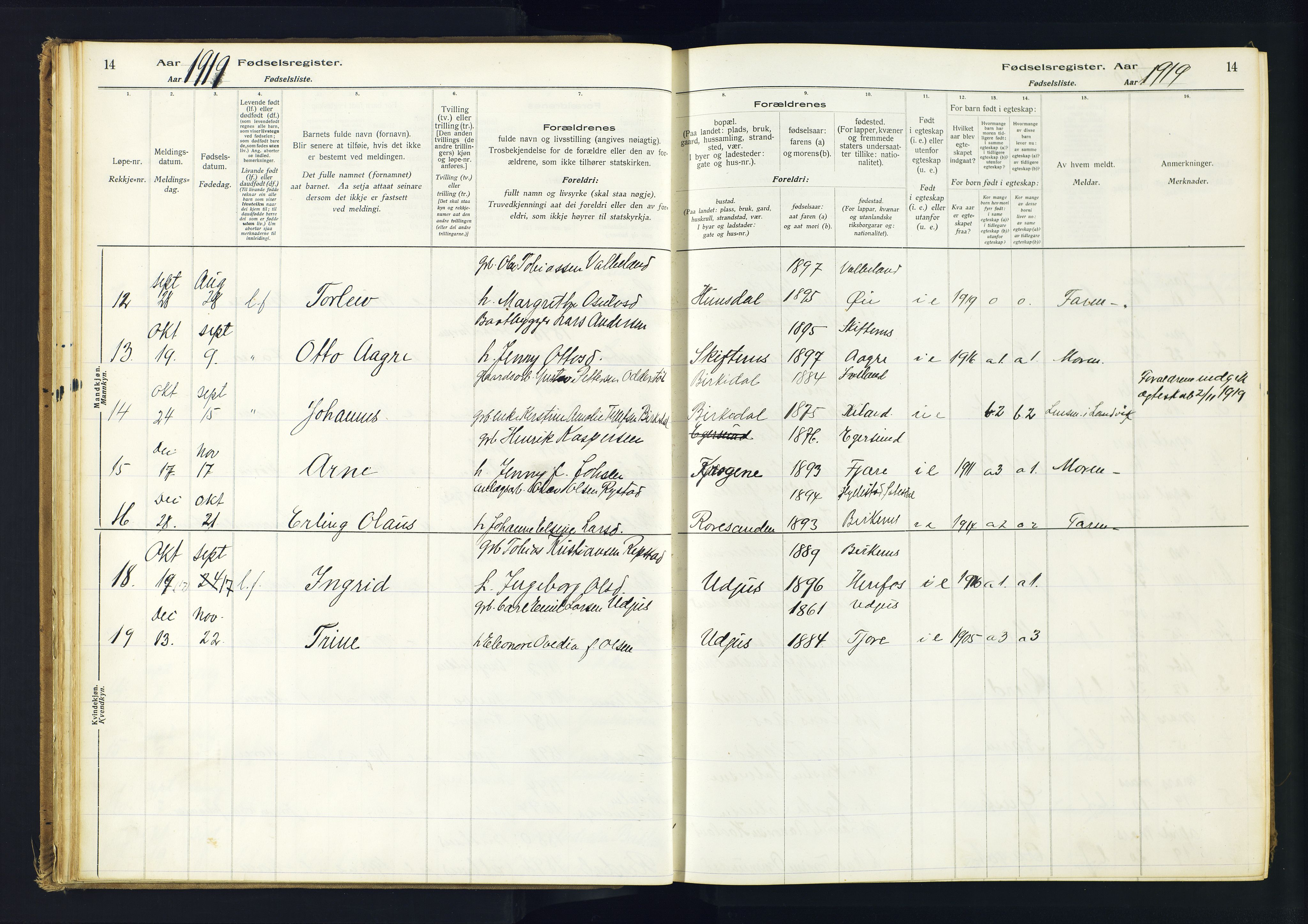 Hommedal sokneprestkontor, AV/SAK-1111-0023/J/Jd/L0001: Birth register no. 1, 1916-1962, p. 14