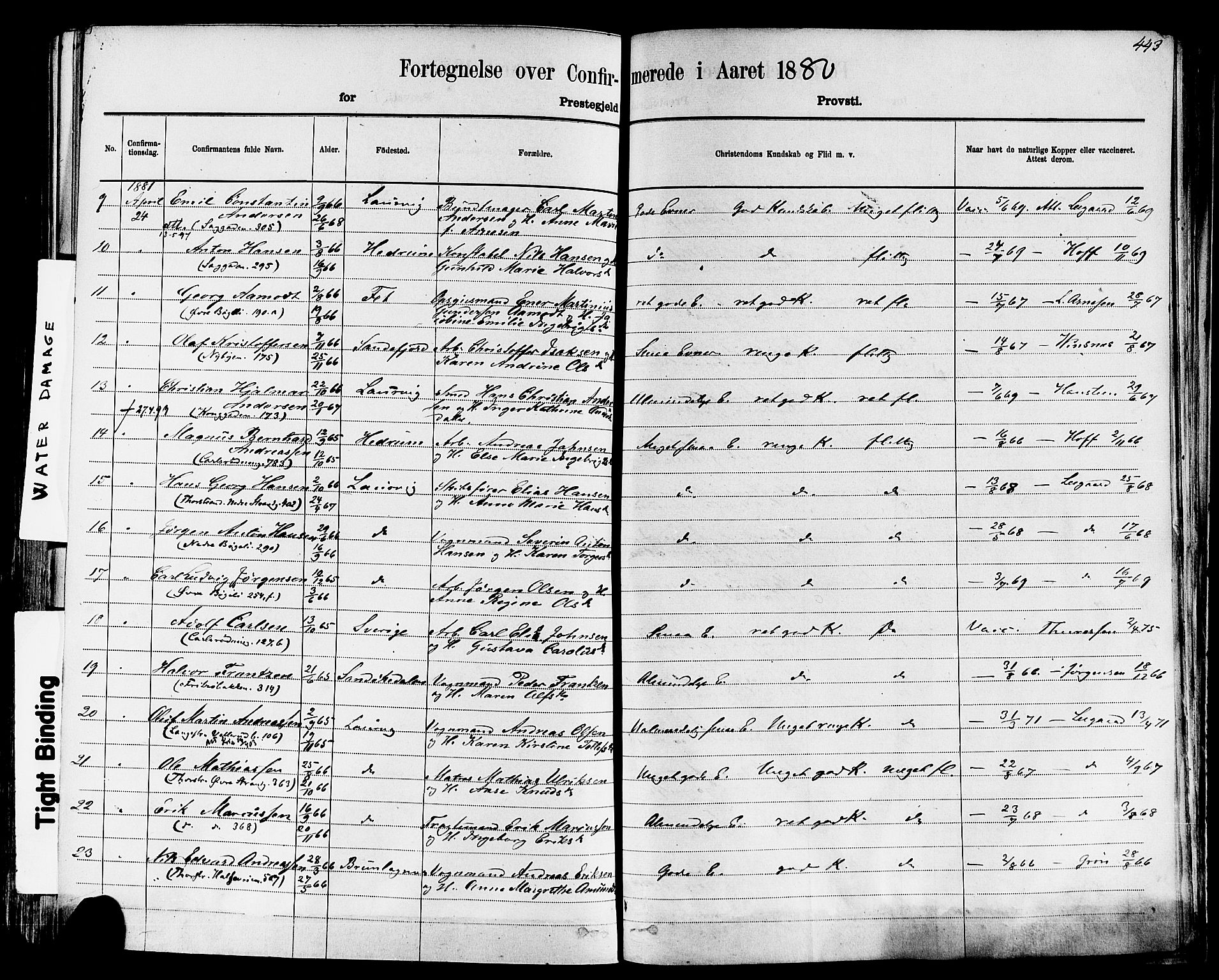 Larvik kirkebøker, AV/SAKO-A-352/F/Fa/L0006: Parish register (official) no. I 6, 1871-1883, p. 443