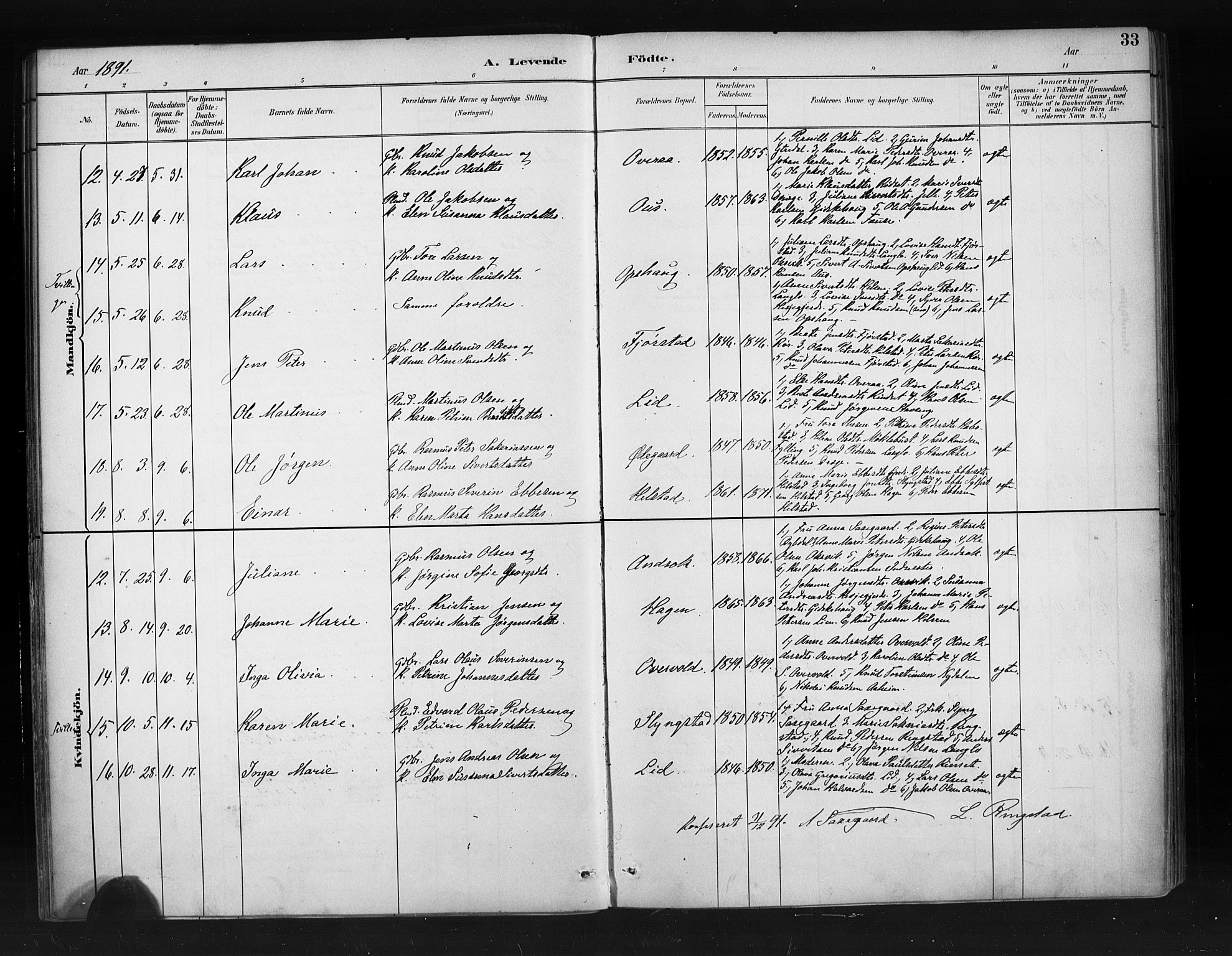 Ministerialprotokoller, klokkerbøker og fødselsregistre - Møre og Romsdal, AV/SAT-A-1454/520/L0283: Parish register (official) no. 520A12, 1882-1898, p. 33