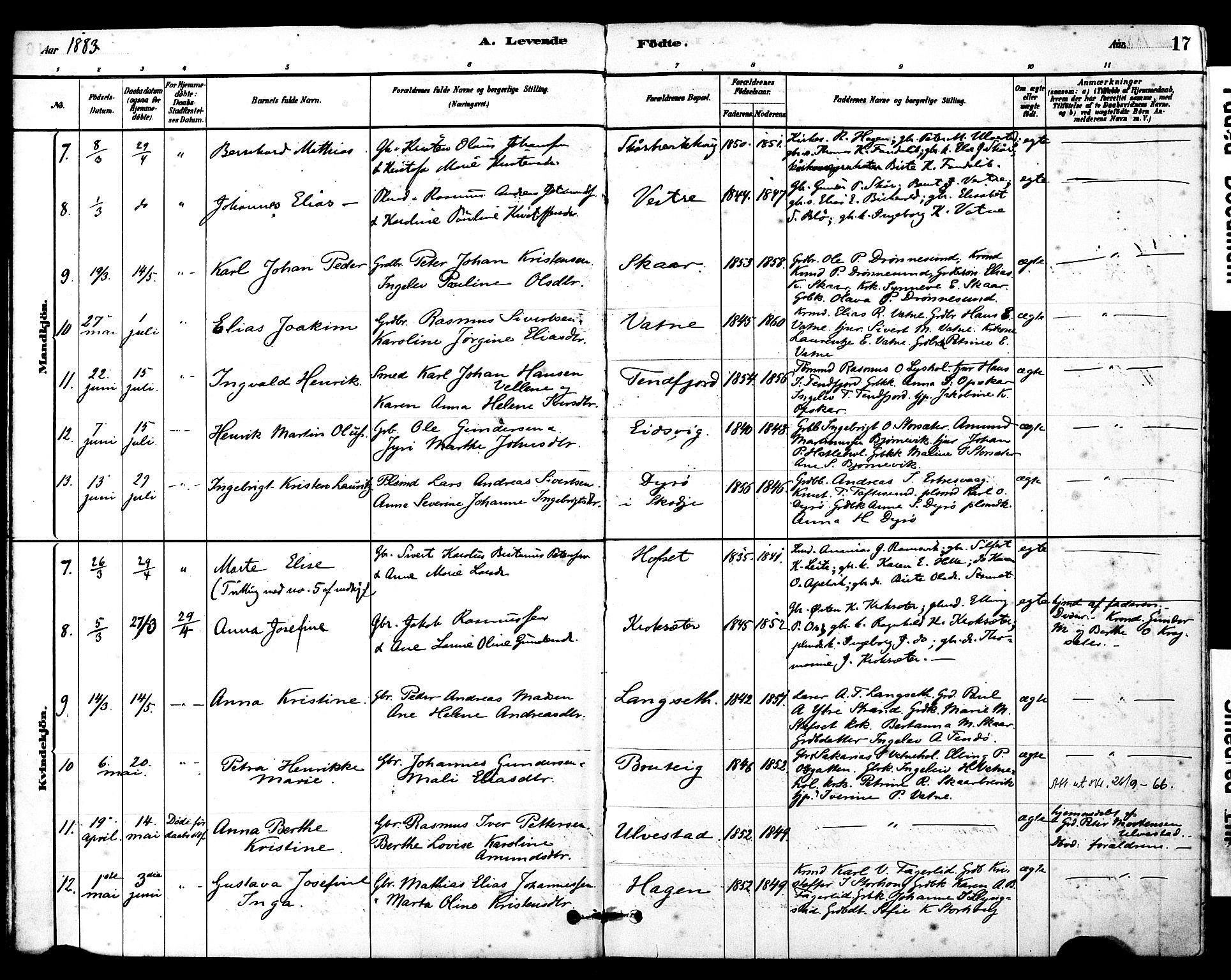 Ministerialprotokoller, klokkerbøker og fødselsregistre - Møre og Romsdal, AV/SAT-A-1454/525/L0374: Parish register (official) no. 525A04, 1880-1899, p. 17