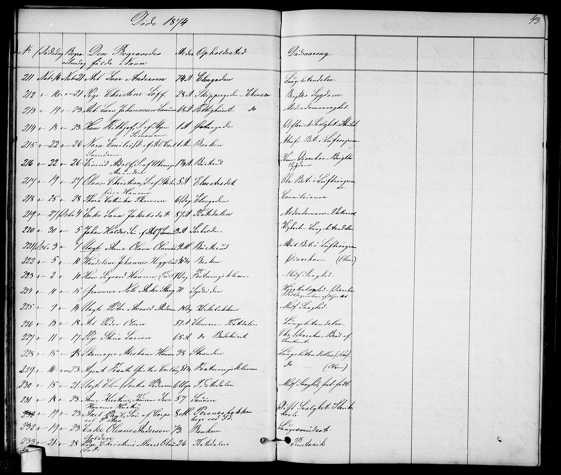 Halden prestekontor Kirkebøker, SAO/A-10909/G/Ga/L0007: Parish register (copy) no. 7, 1869-1884, p. 43