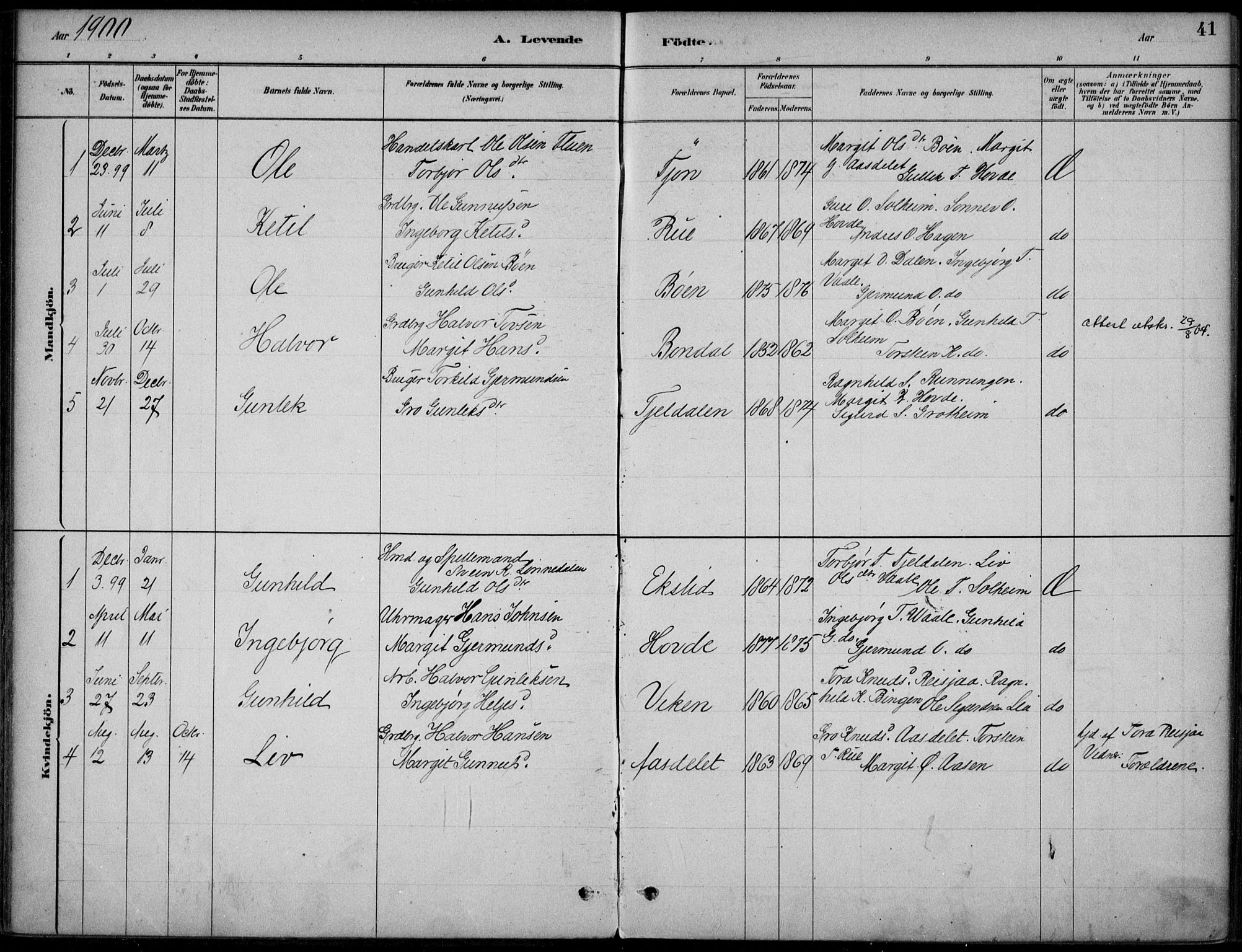 Hjartdal kirkebøker, SAKO/A-270/F/Fc/L0002: Parish register (official) no. III 2, 1880-1936, p. 41