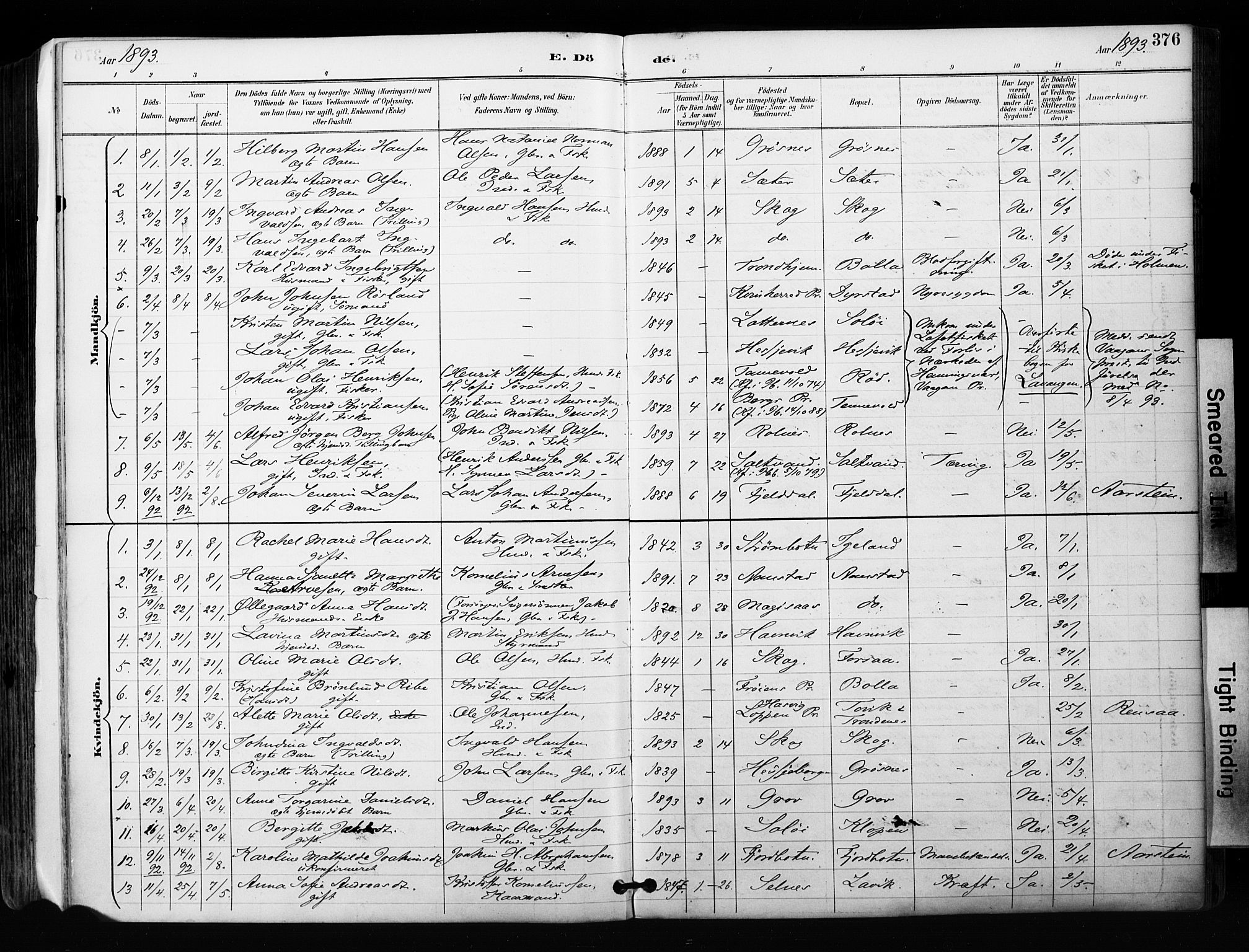Ibestad sokneprestembete, SATØ/S-0077/H/Ha/Haa/L0012kirke: Parish register (official) no. 12, 1890-1900, p. 376