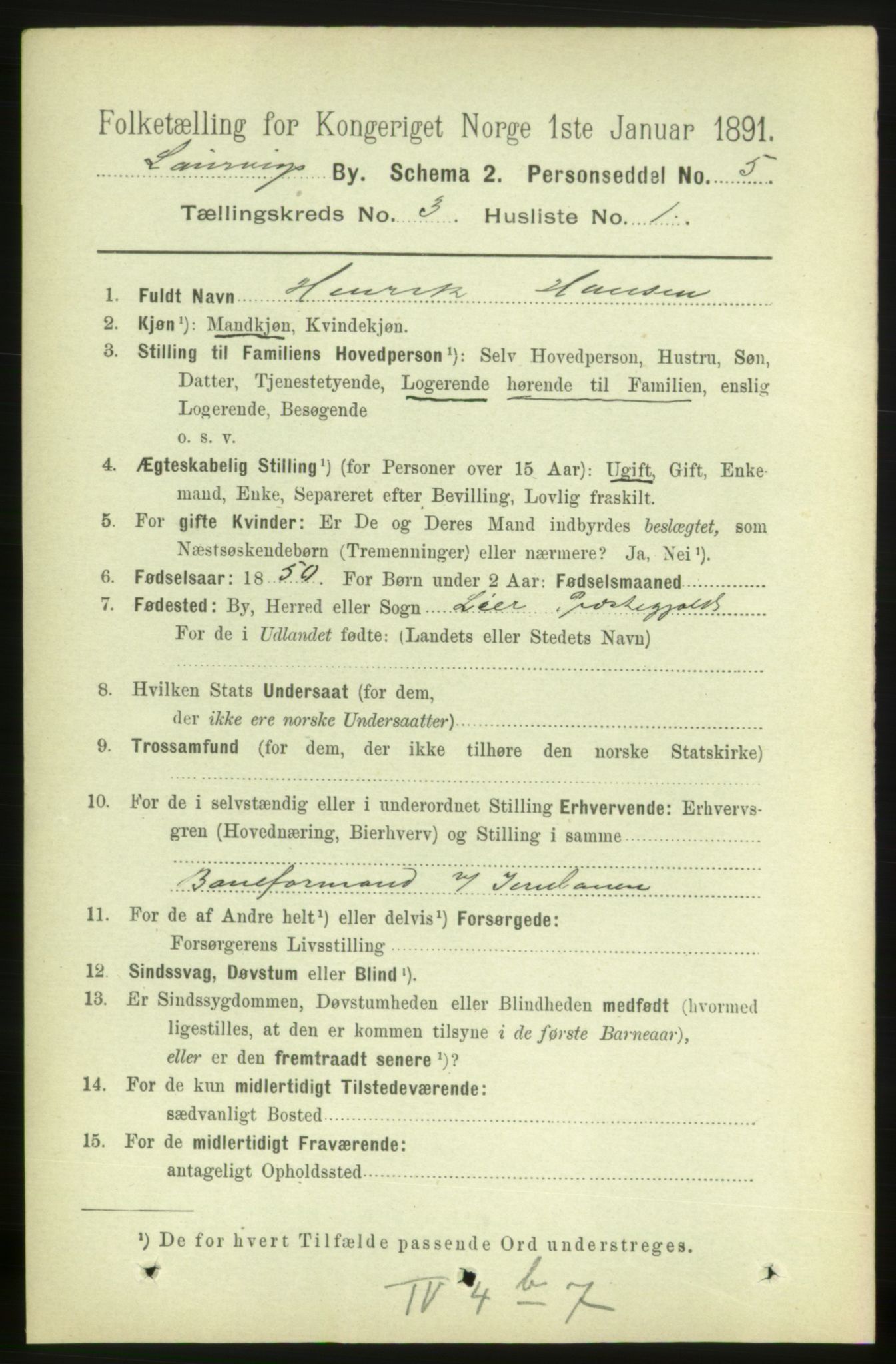 RA, 1891 census for 0707 Larvik, 1891, p. 4126