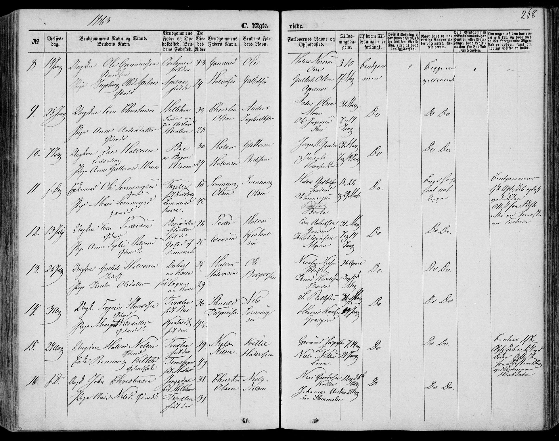 Bø kirkebøker, SAKO/A-257/F/Fa/L0009: Parish register (official) no. 9, 1862-1879, p. 268