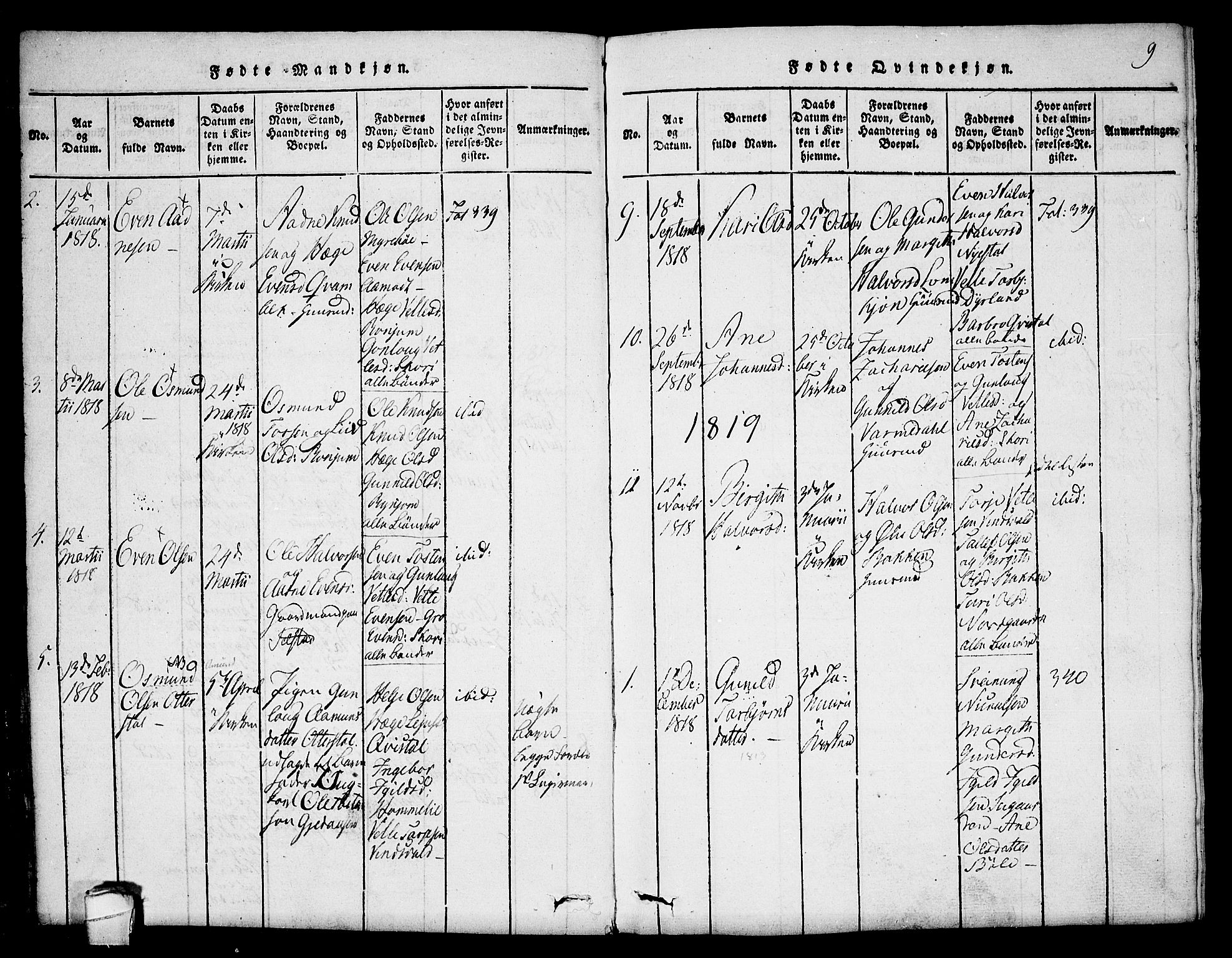 Seljord kirkebøker, AV/SAKO-A-20/F/Fc/L0001: Parish register (official) no. III 1, 1815-1831, p. 9