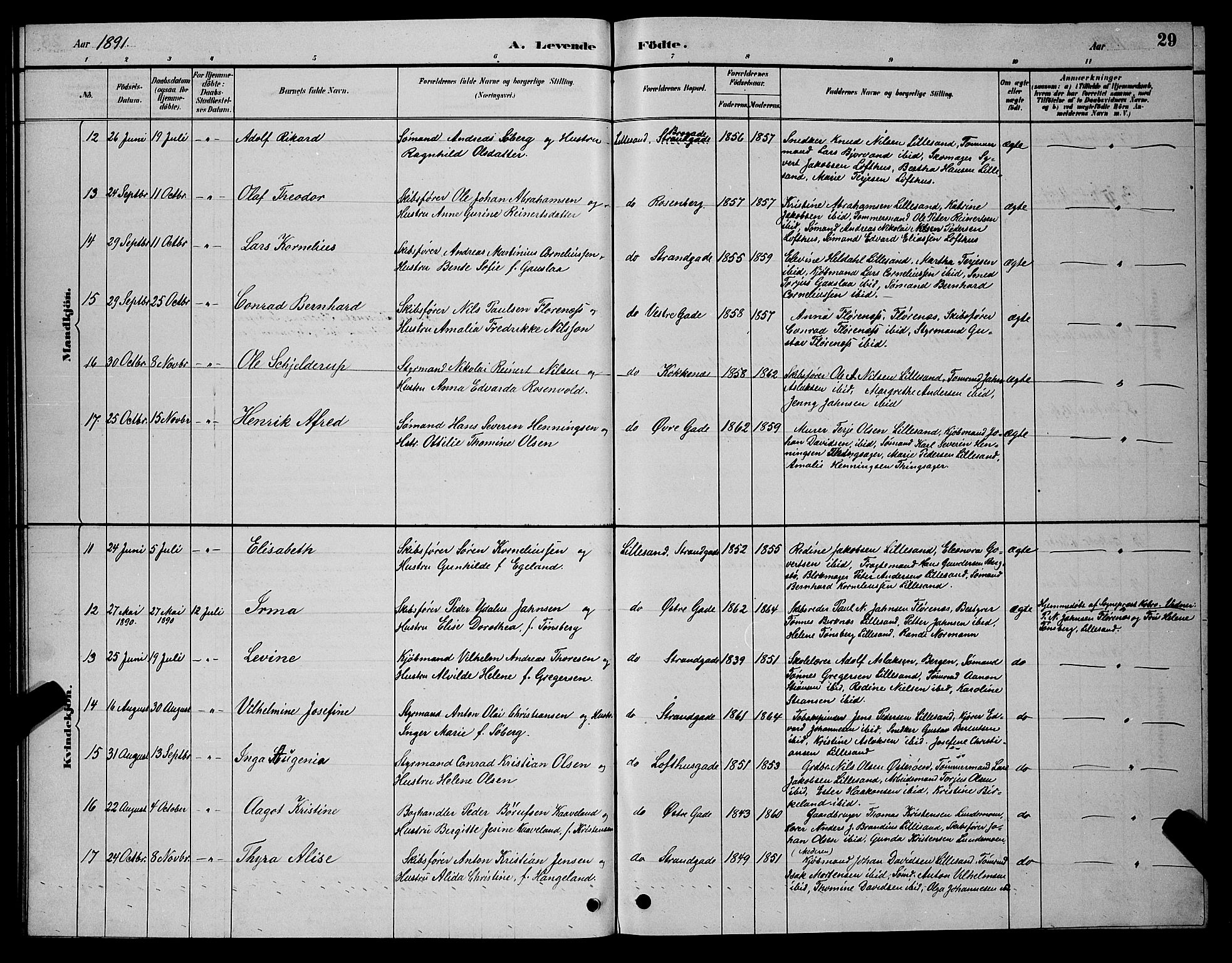 Vestre Moland sokneprestkontor, AV/SAK-1111-0046/F/Fb/Fba/L0001: Parish register (copy) no. B 1, 1884-1903, p. 29