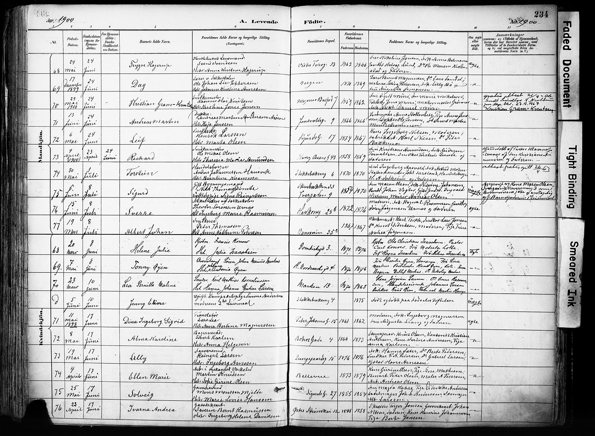 Domkirken sokneprestembete, SAB/A-74801/H/Haa/L0024: Parish register (official) no. B 7, 1888-1903, p. 234
