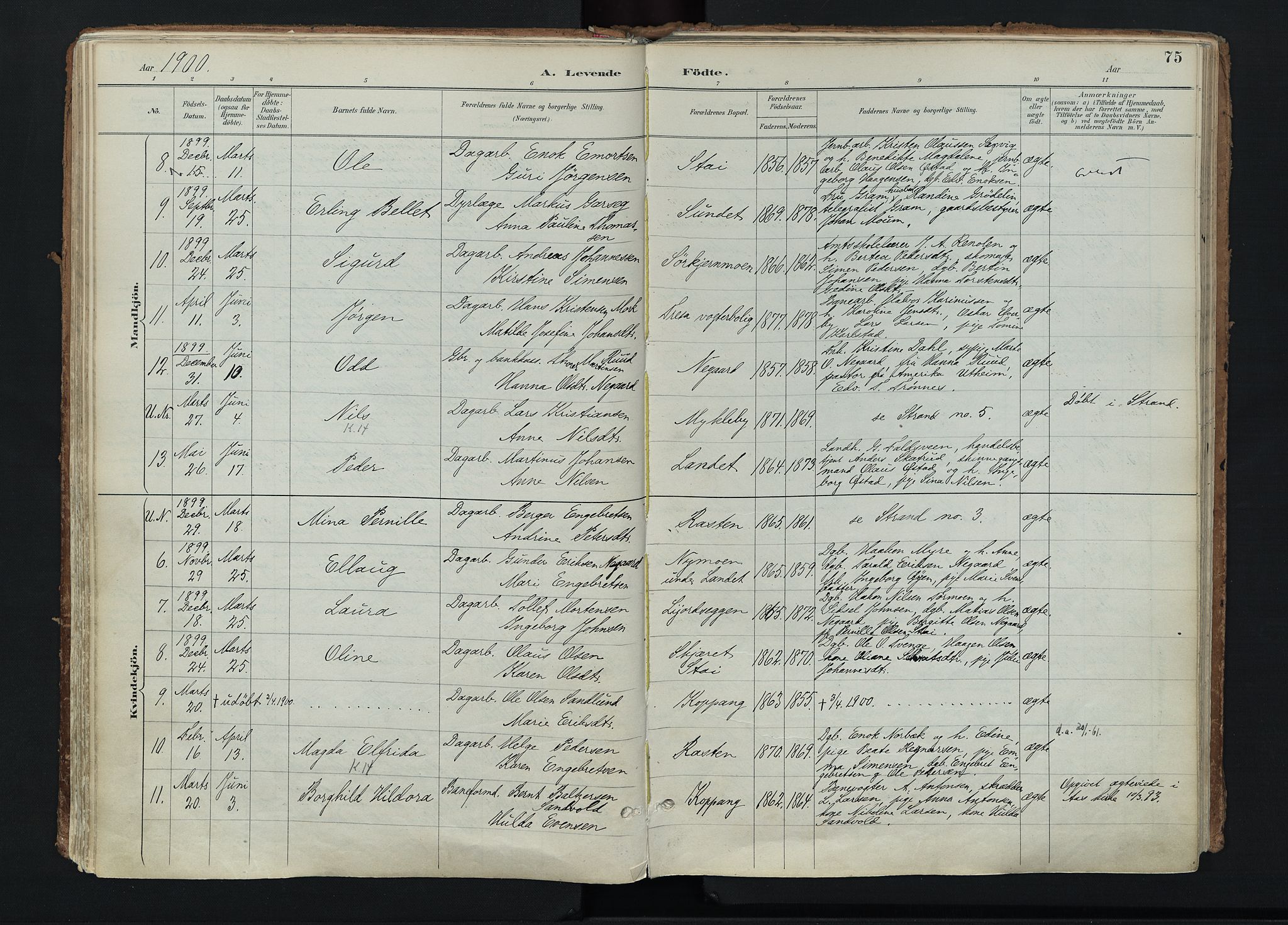 Stor-Elvdal prestekontor, AV/SAH-PREST-052/H/Ha/Haa/L0004: Parish register (official) no. 4, 1890-1922, p. 75