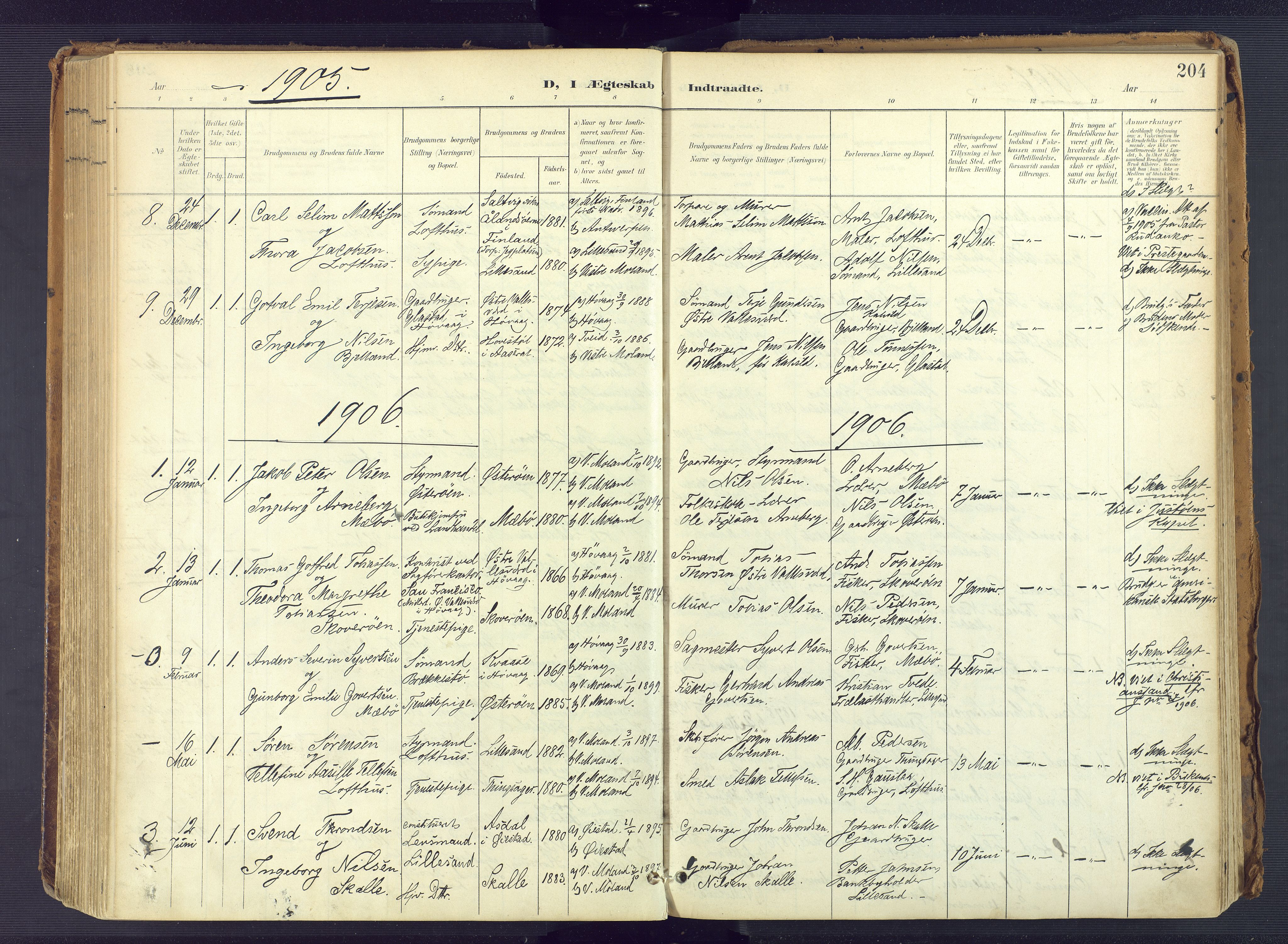 Vestre Moland sokneprestkontor, SAK/1111-0046/F/Fa/Fab/L0010: Parish register (official) no. A 10, 1900-1926, p. 204