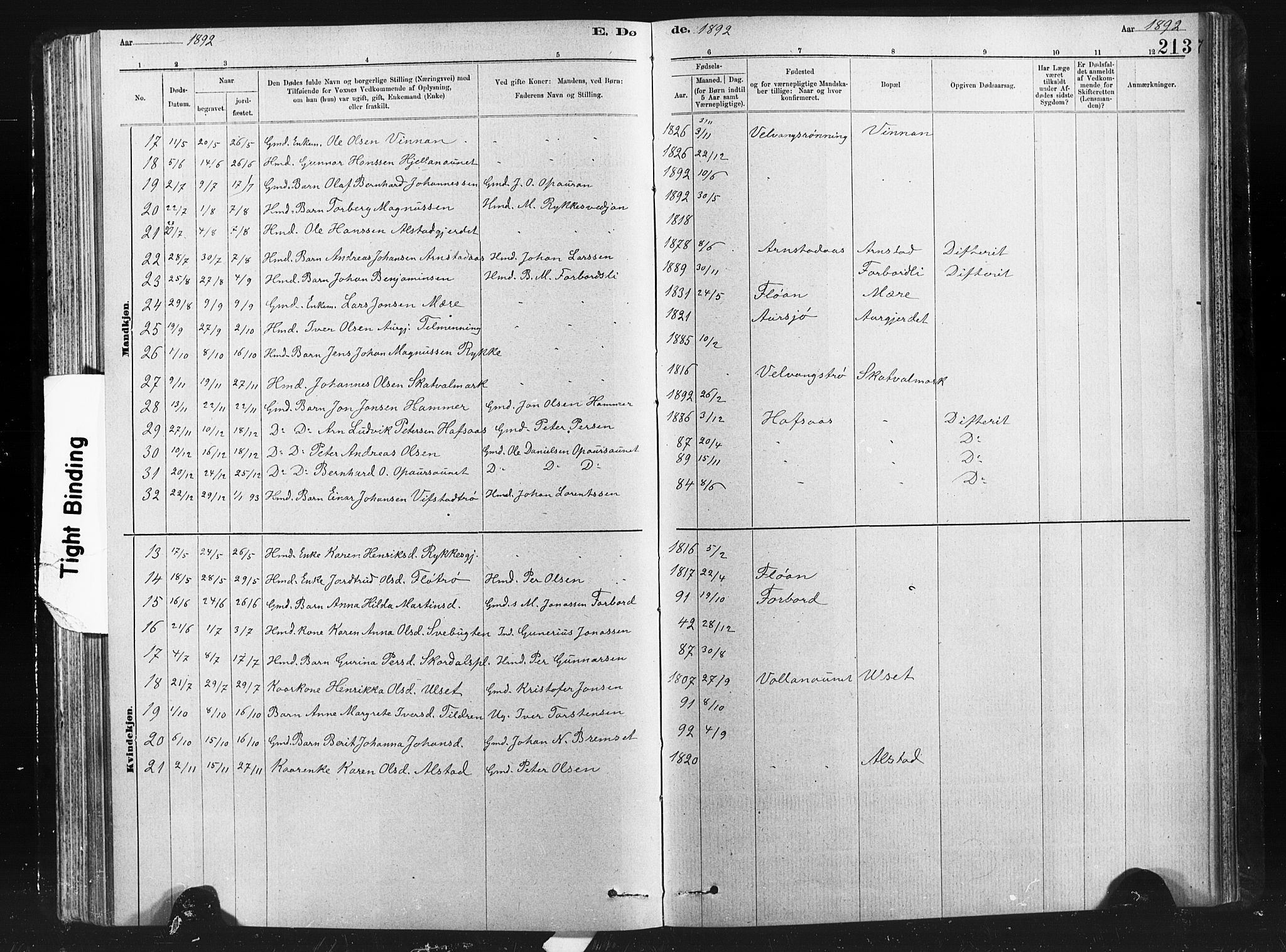 Ministerialprotokoller, klokkerbøker og fødselsregistre - Nord-Trøndelag, AV/SAT-A-1458/712/L0103: Parish register (copy) no. 712C01, 1878-1917, p. 213