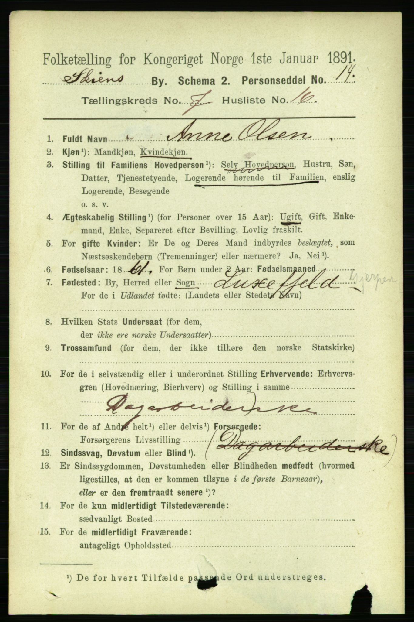 RA, 1891 census for 0806 Skien, 1891, p. 3265