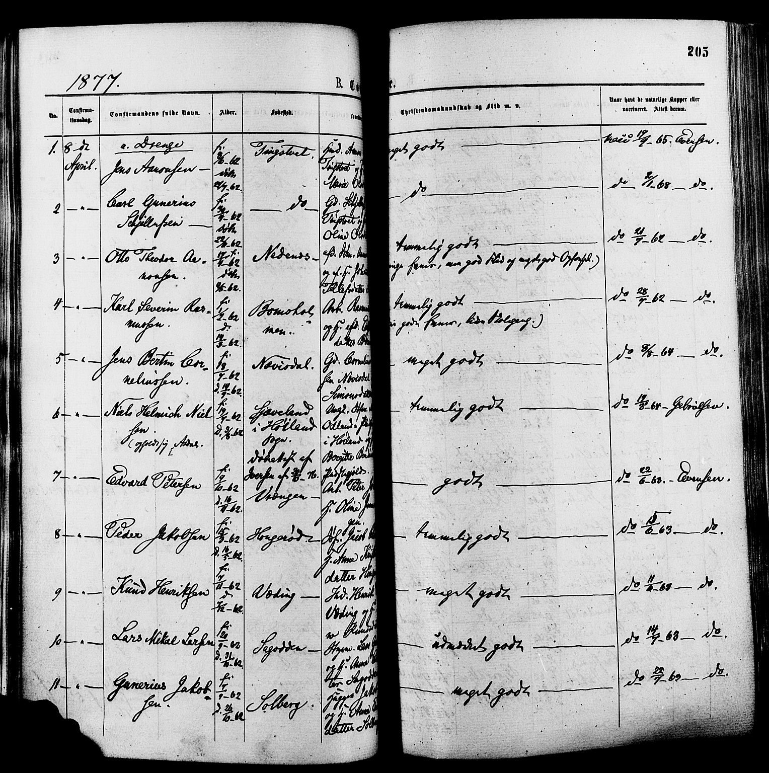 Øyestad sokneprestkontor, SAK/1111-0049/F/Fa/L0016: Parish register (official) no. A 16, 1874-1886, p. 205