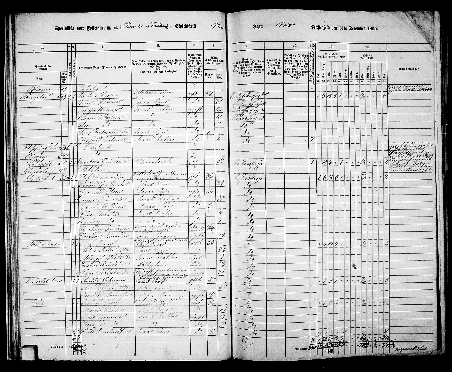 RA, 1865 census for Mo, 1865, p. 33
