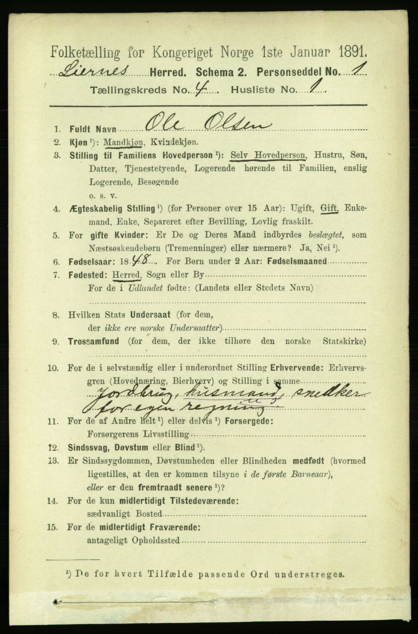 RA, 1891 census for 1737 Lierne, 1891, p. 1028