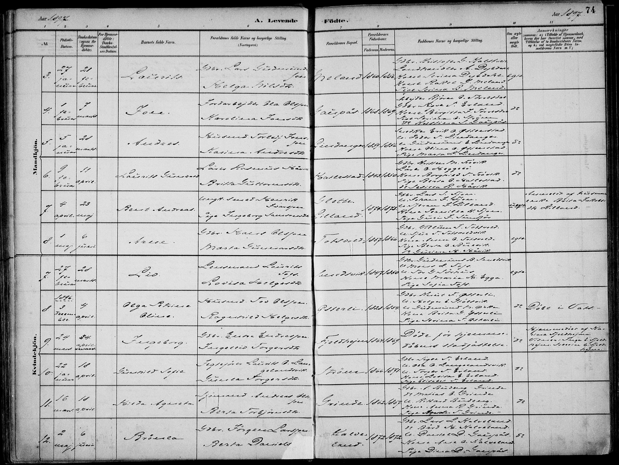 Skjold sokneprestkontor, SAST/A-101847/H/Ha/Haa/L0010: Parish register (official) no. A 10, 1882-1897, p. 74