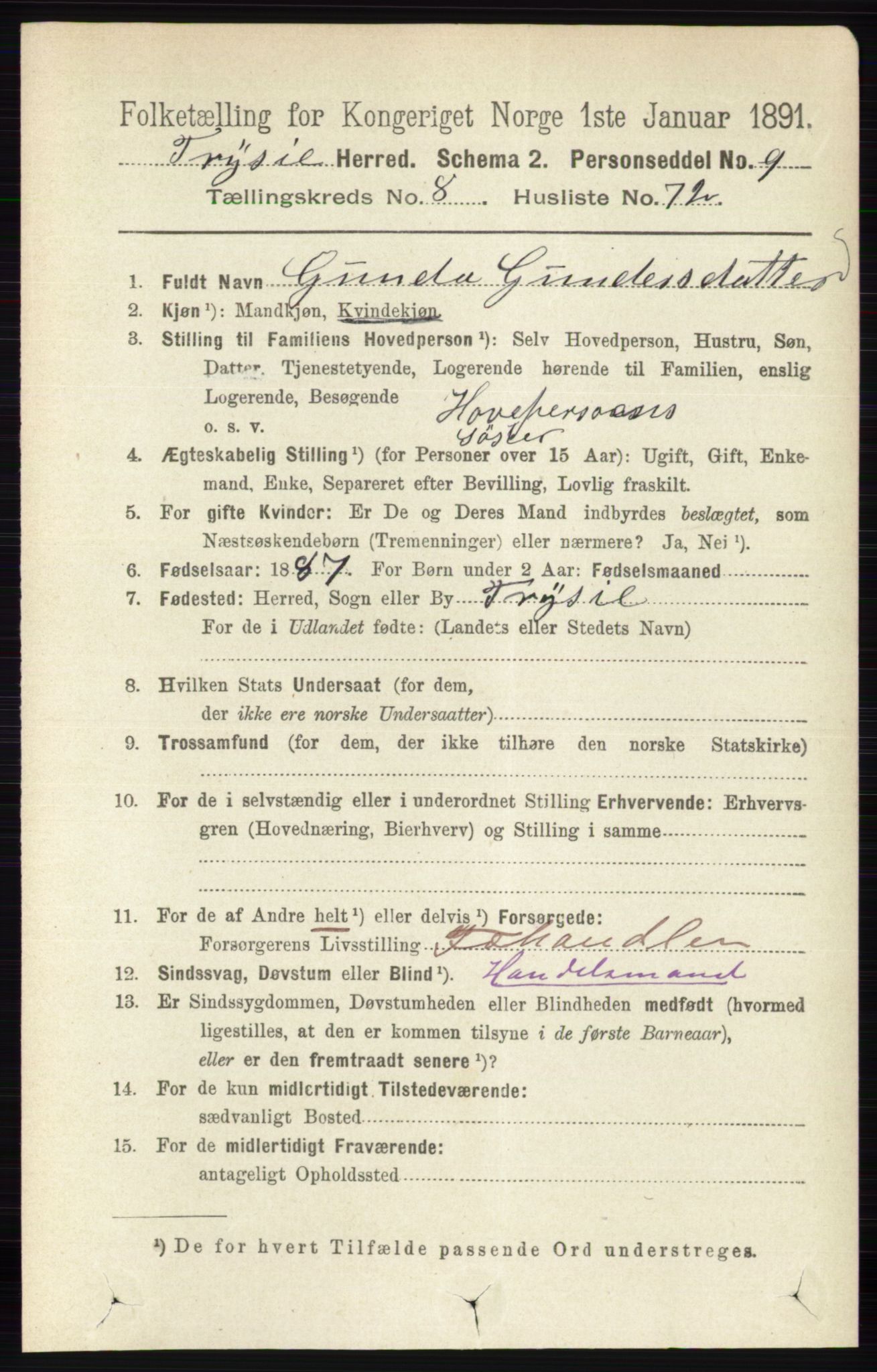 RA, 1891 census for 0428 Trysil, 1891, p. 4087