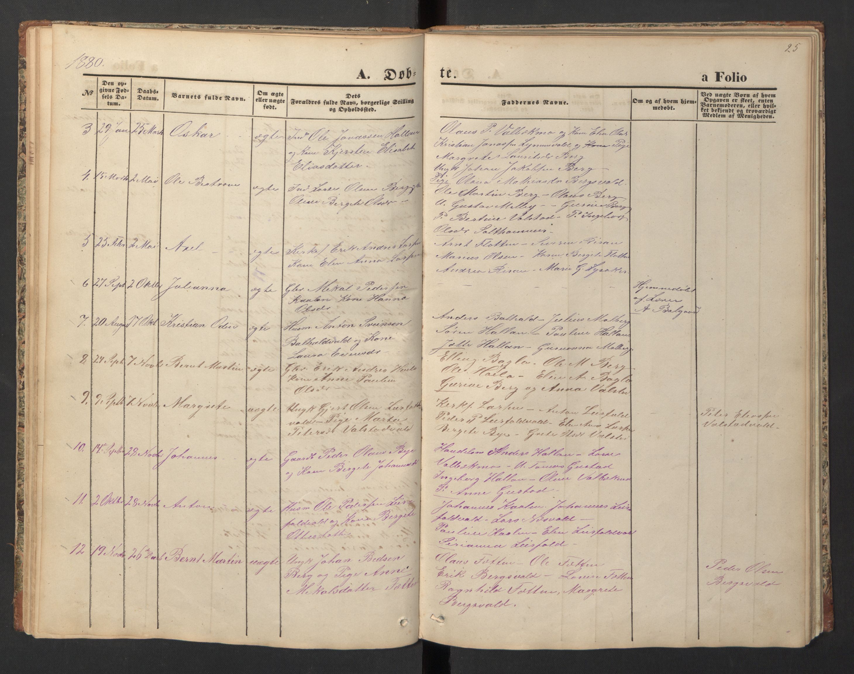 Ministerialprotokoller, klokkerbøker og fødselsregistre - Nord-Trøndelag, SAT/A-1458/726/L0271: Parish register (copy) no. 726C02, 1869-1897, p. 25