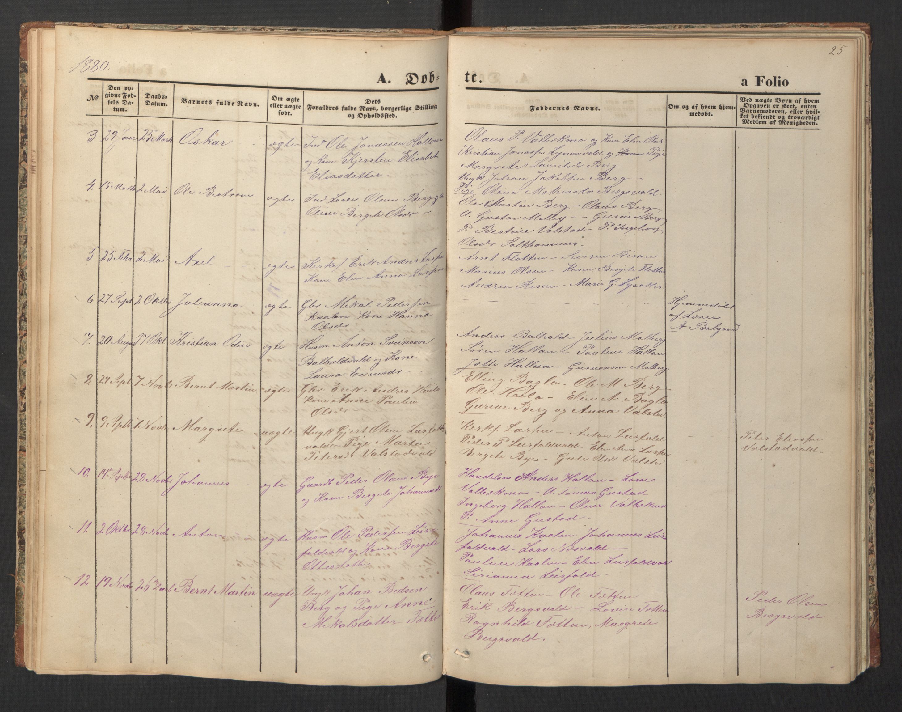 Ministerialprotokoller, klokkerbøker og fødselsregistre - Nord-Trøndelag, AV/SAT-A-1458/726/L0271: Parish register (copy) no. 726C02, 1869-1897, p. 25