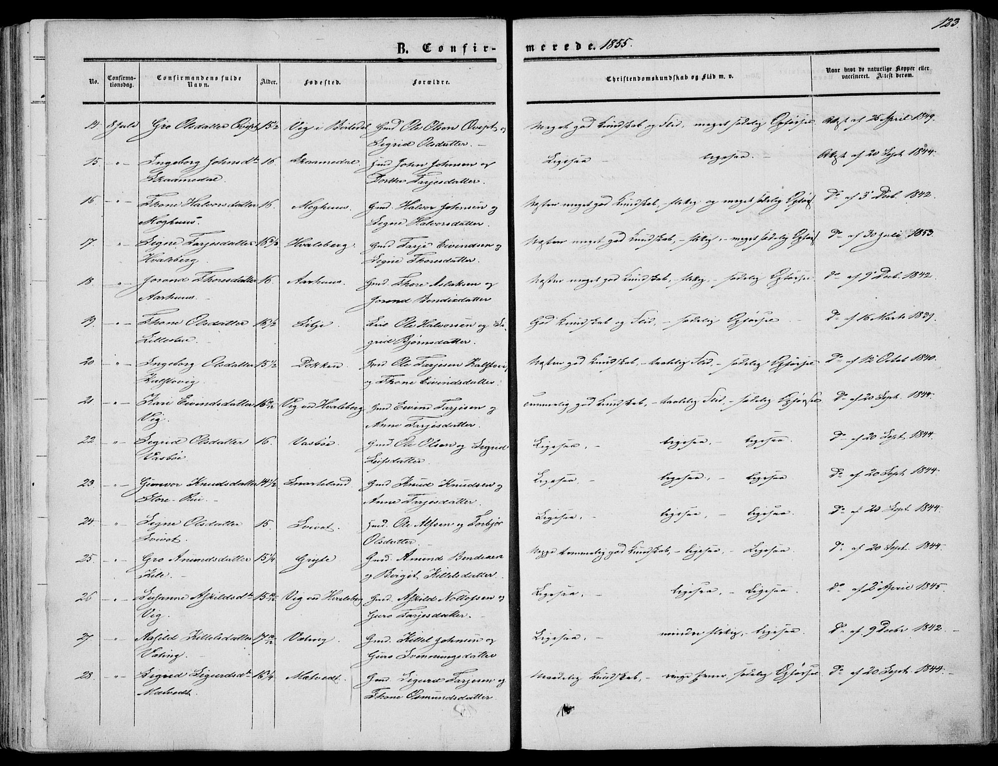 Fyresdal kirkebøker, SAKO/A-263/F/Fa/L0005: Parish register (official) no. I 5, 1855-1871, p. 123