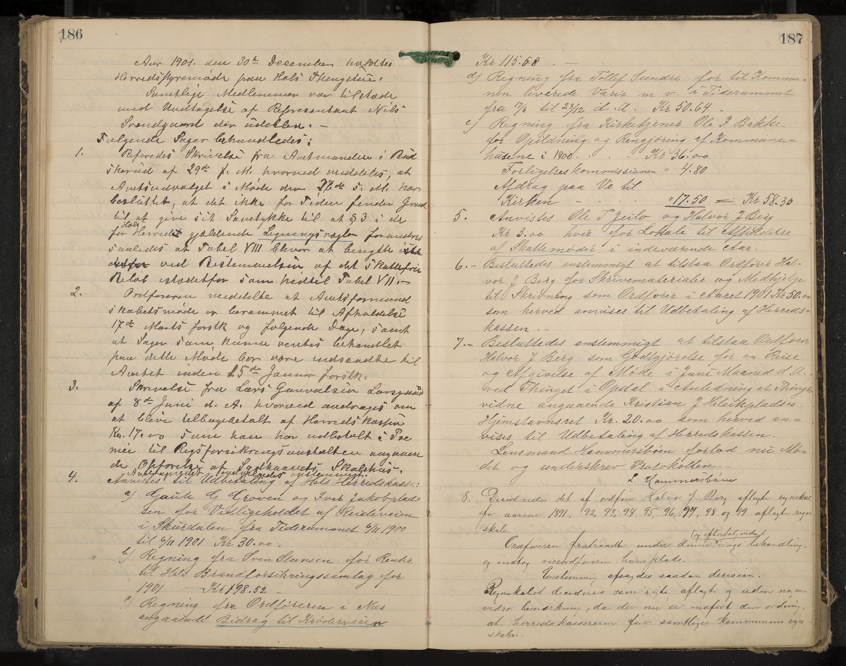 Hol formannskap og sentraladministrasjon, IKAK/0620021-1/A/L0003: Møtebok, 1897-1904, p. 186-187