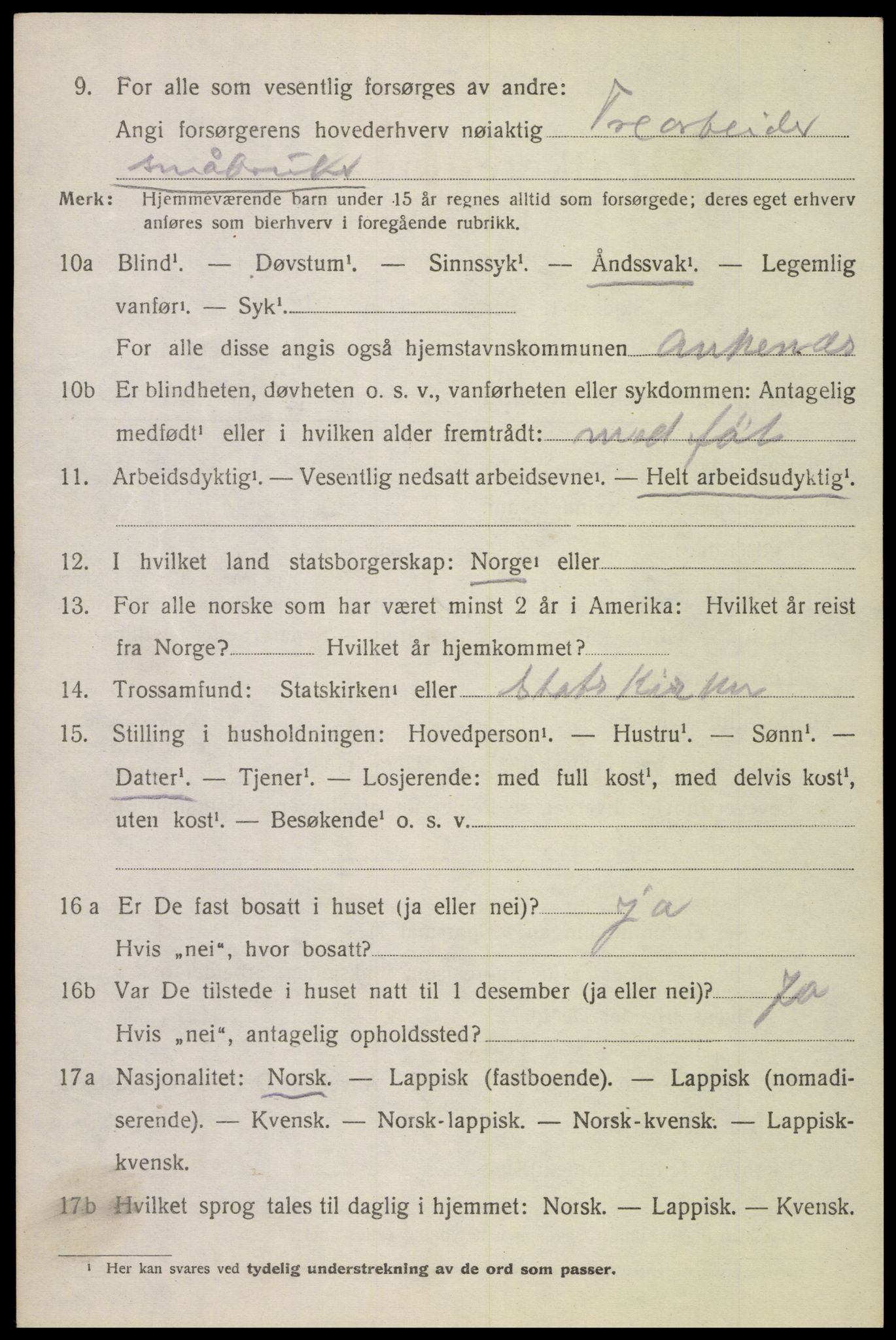 SAT, 1920 census for Ankenes, 1920, p. 4908