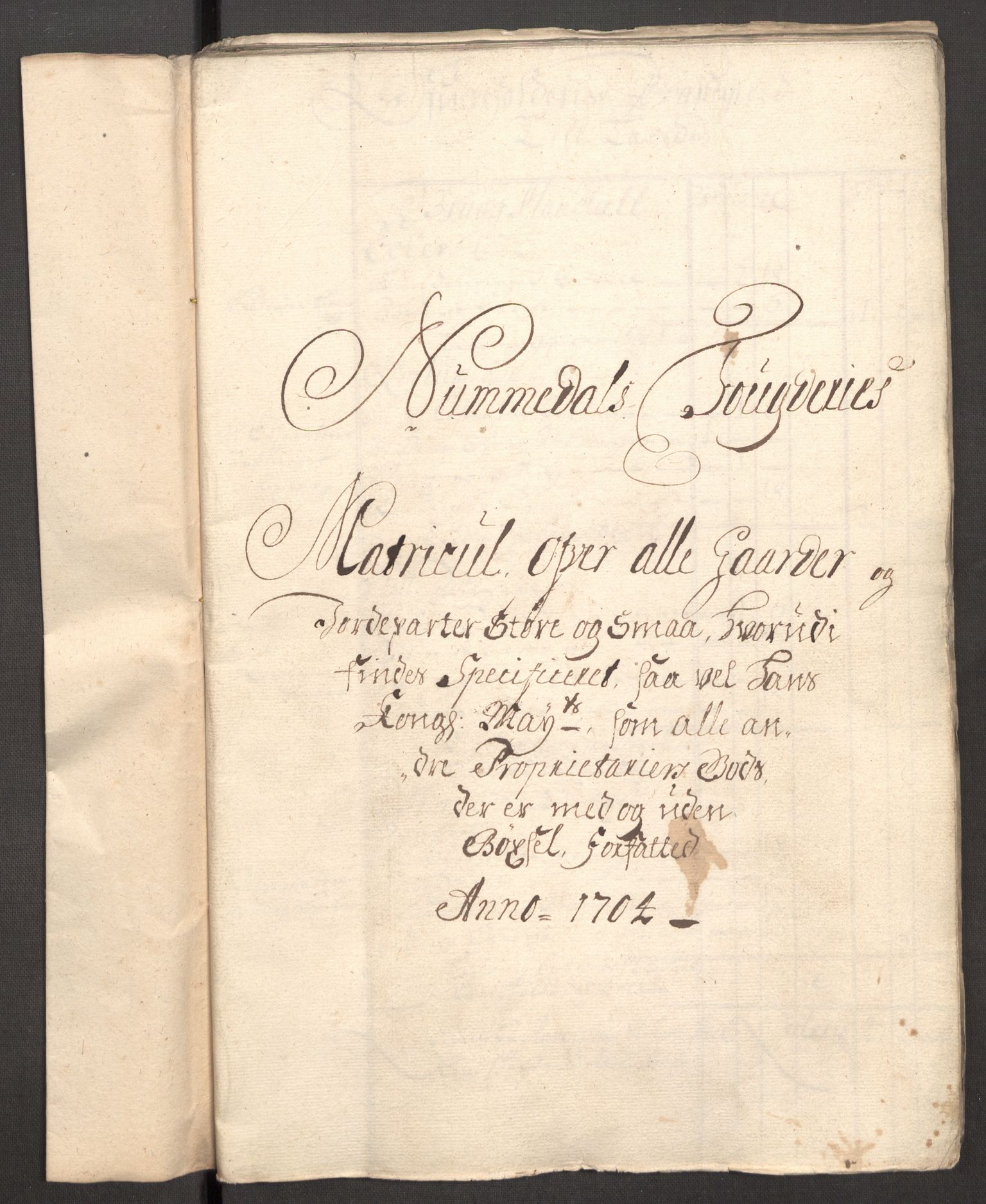 Rentekammeret inntil 1814, Reviderte regnskaper, Fogderegnskap, AV/RA-EA-4092/R64/L4428: Fogderegnskap Namdal, 1703-1704, p. 197