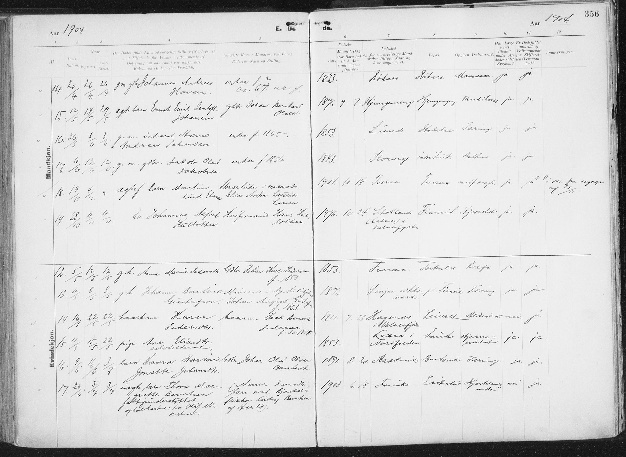Ministerialprotokoller, klokkerbøker og fødselsregistre - Nordland, AV/SAT-A-1459/849/L0696: Parish register (official) no. 849A08, 1898-1910, p. 356