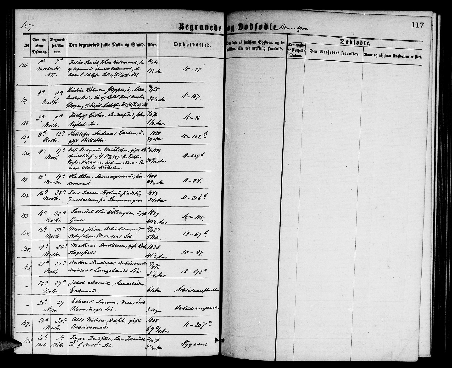 Domkirken sokneprestembete, AV/SAB-A-74801/H/Hab/L0040: Parish register (copy) no. E 4, 1868-1877, p. 117