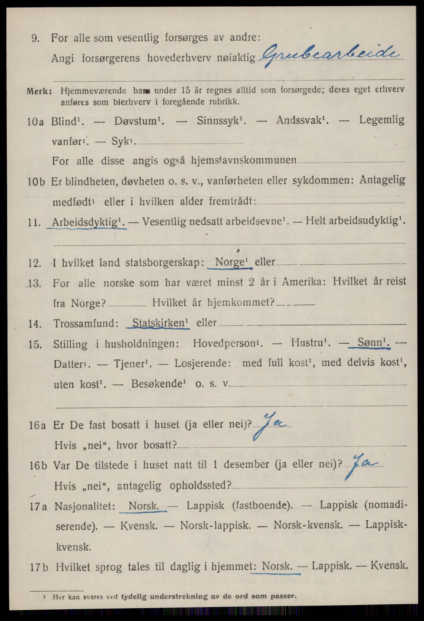 SAT, 1920 census for Røros, 1920, p. 8197