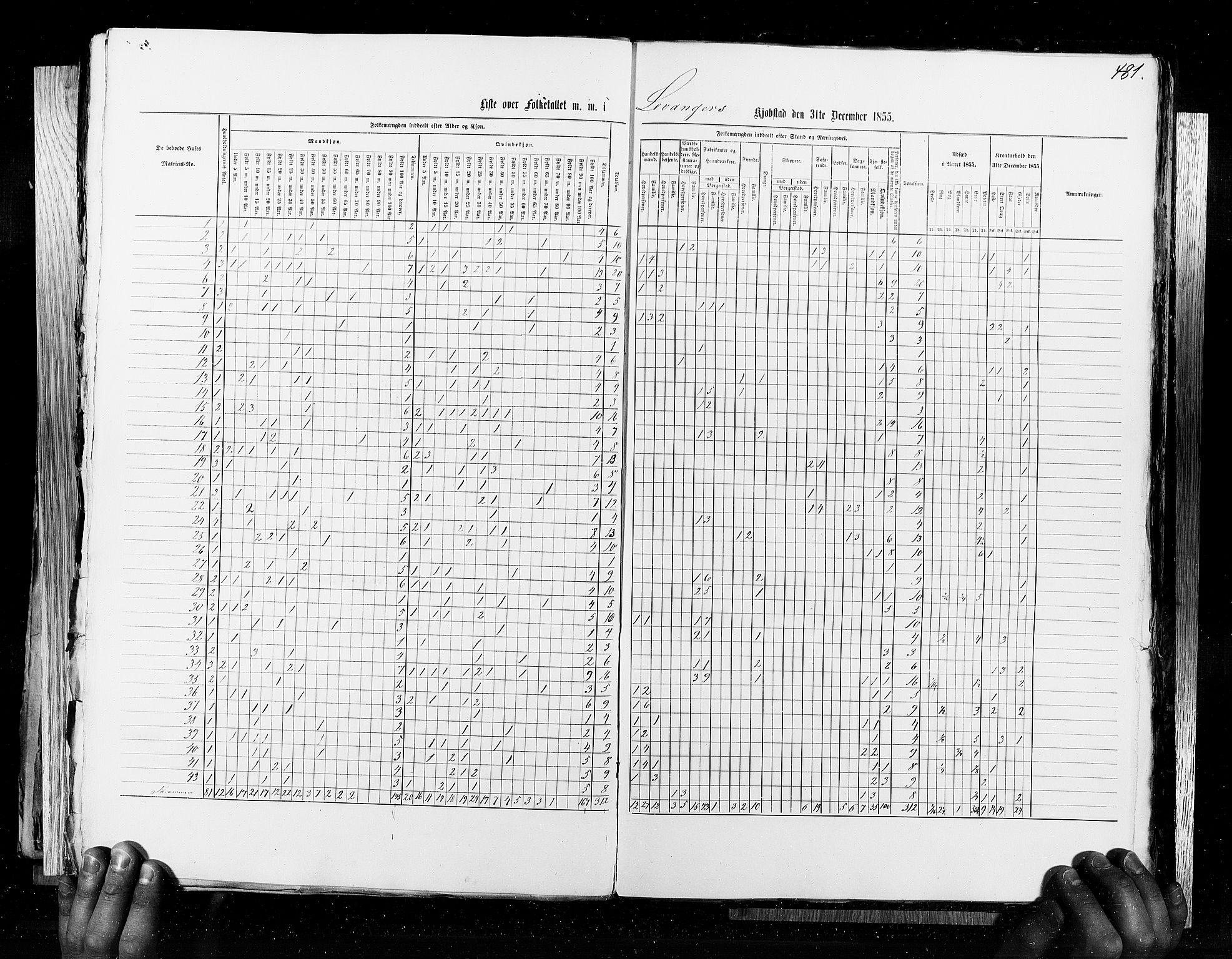 RA, Census 1855, vol. 8: Risør-Vadsø, 1855, p. 481