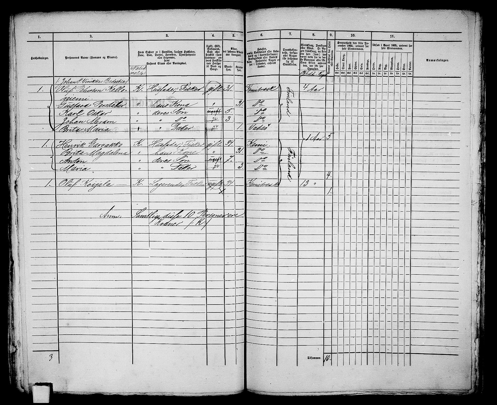 RA, 1865 census for Vadsø/Vadsø, 1865, p. 223