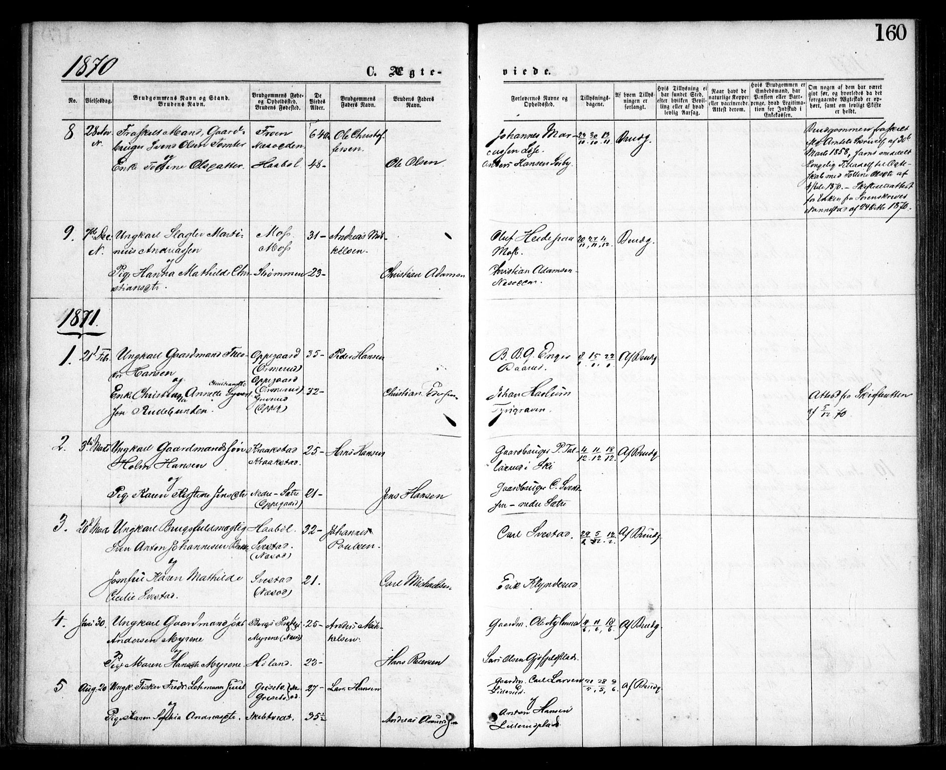 Nesodden prestekontor Kirkebøker, AV/SAO-A-10013/F/Fa/L0008: Parish register (official) no. I 8, 1869-1879, p. 160