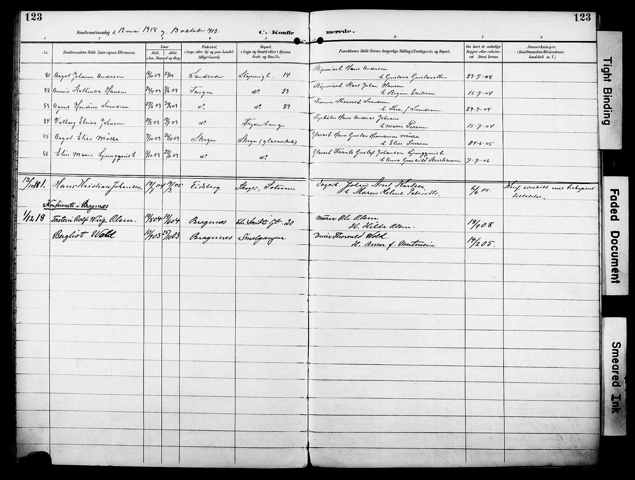 Strømsø kirkebøker, AV/SAKO-A-246/F/Fa/L0025: Parish register (official) no. I 25, 1893-1922, p. 123