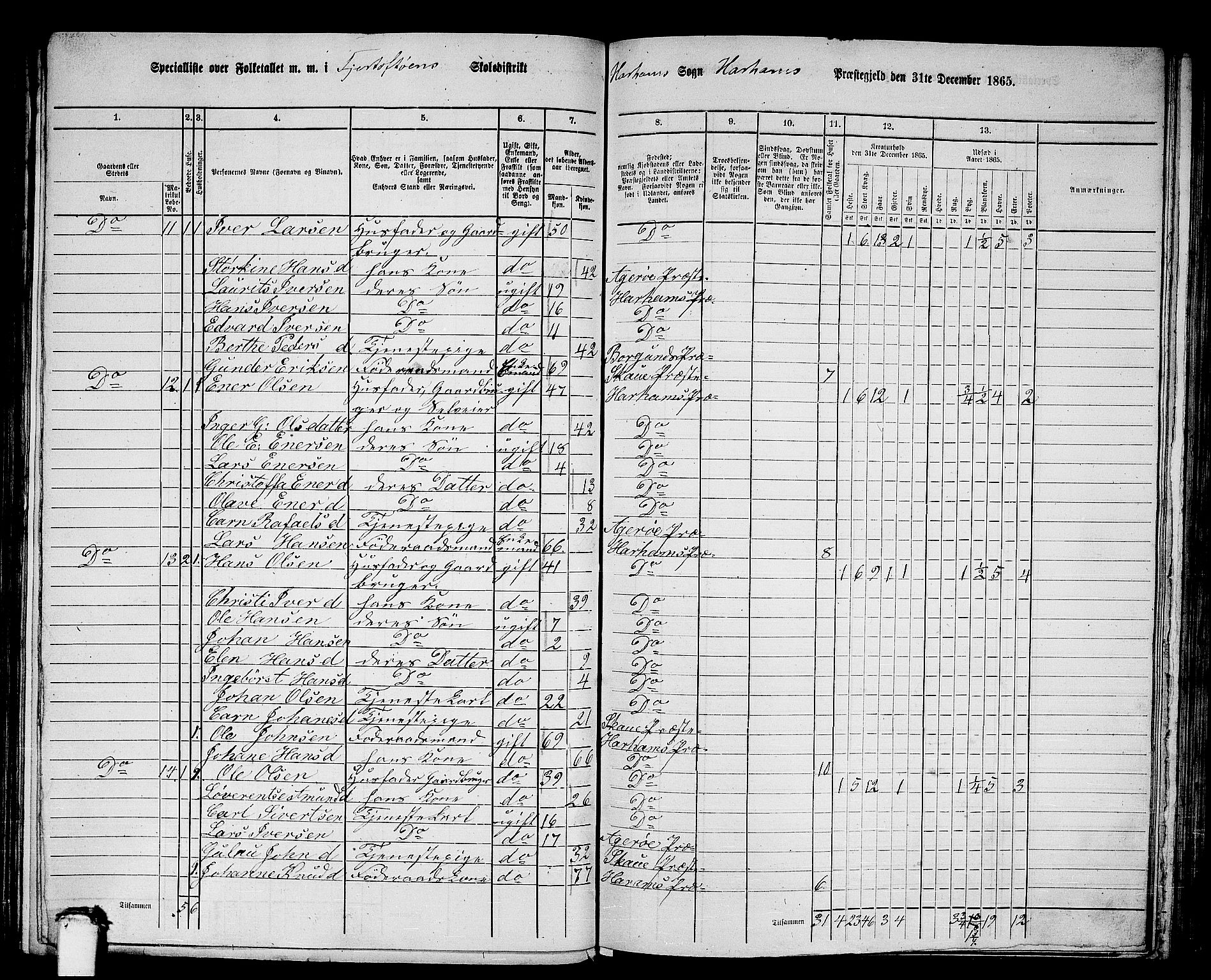 RA, 1865 census for Haram, 1865, p. 11