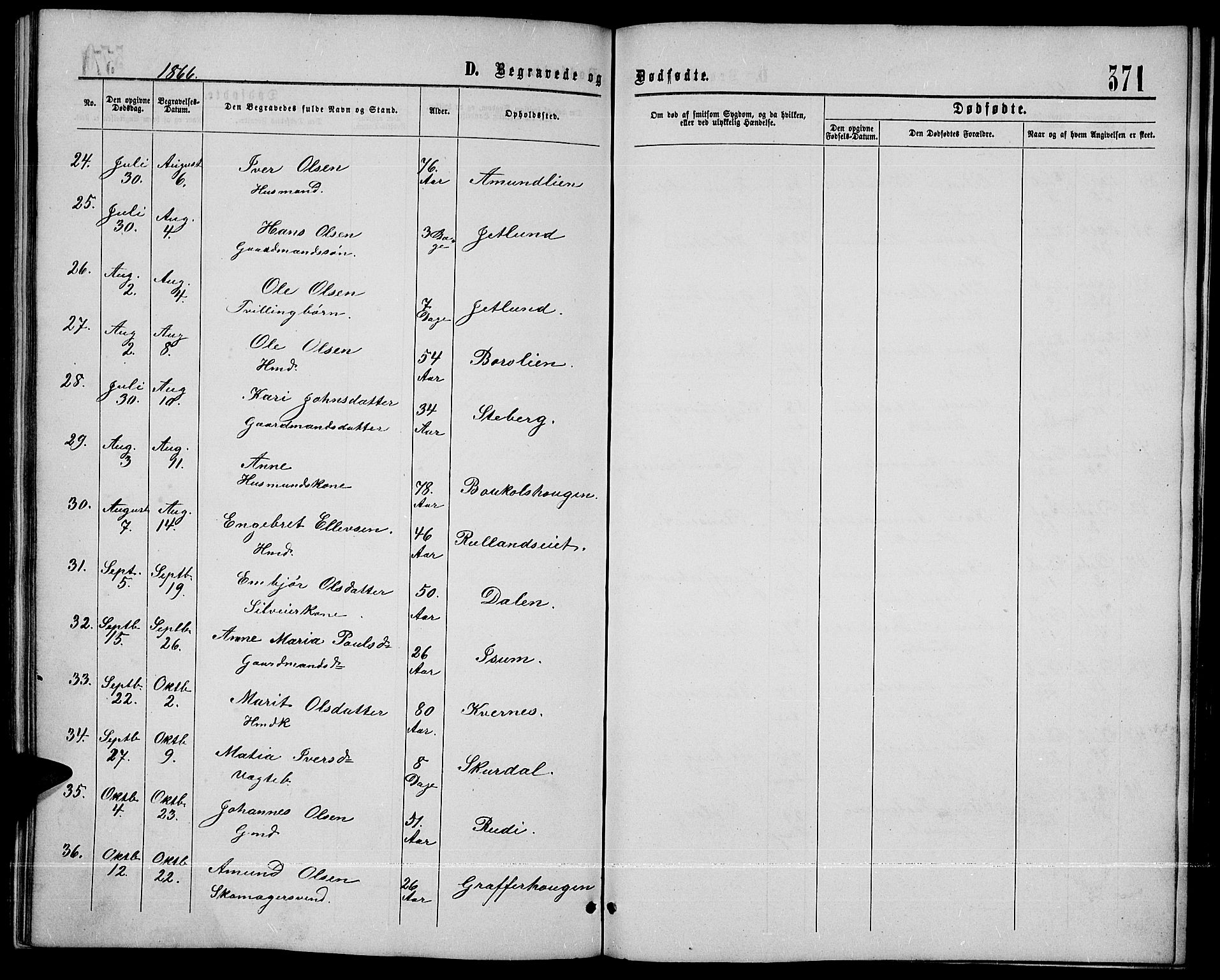 Sør-Fron prestekontor, AV/SAH-PREST-010/H/Ha/Hab/L0002: Parish register (copy) no. 2, 1864-1883, p. 371