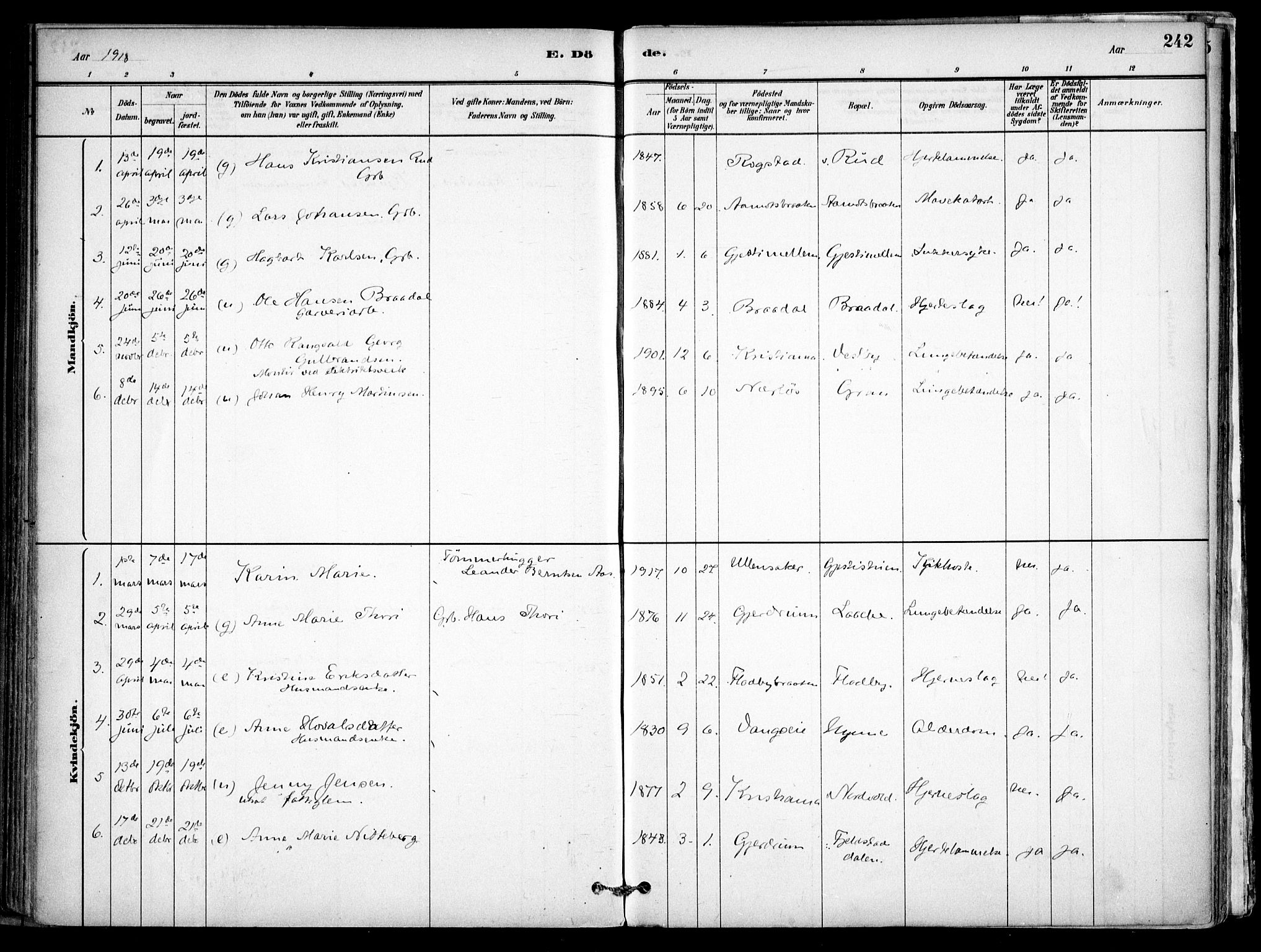 Gjerdrum prestekontor Kirkebøker, SAO/A-10412b/F/Fb/L0001: Parish register (official) no. II 1, 1881-1921, p. 242