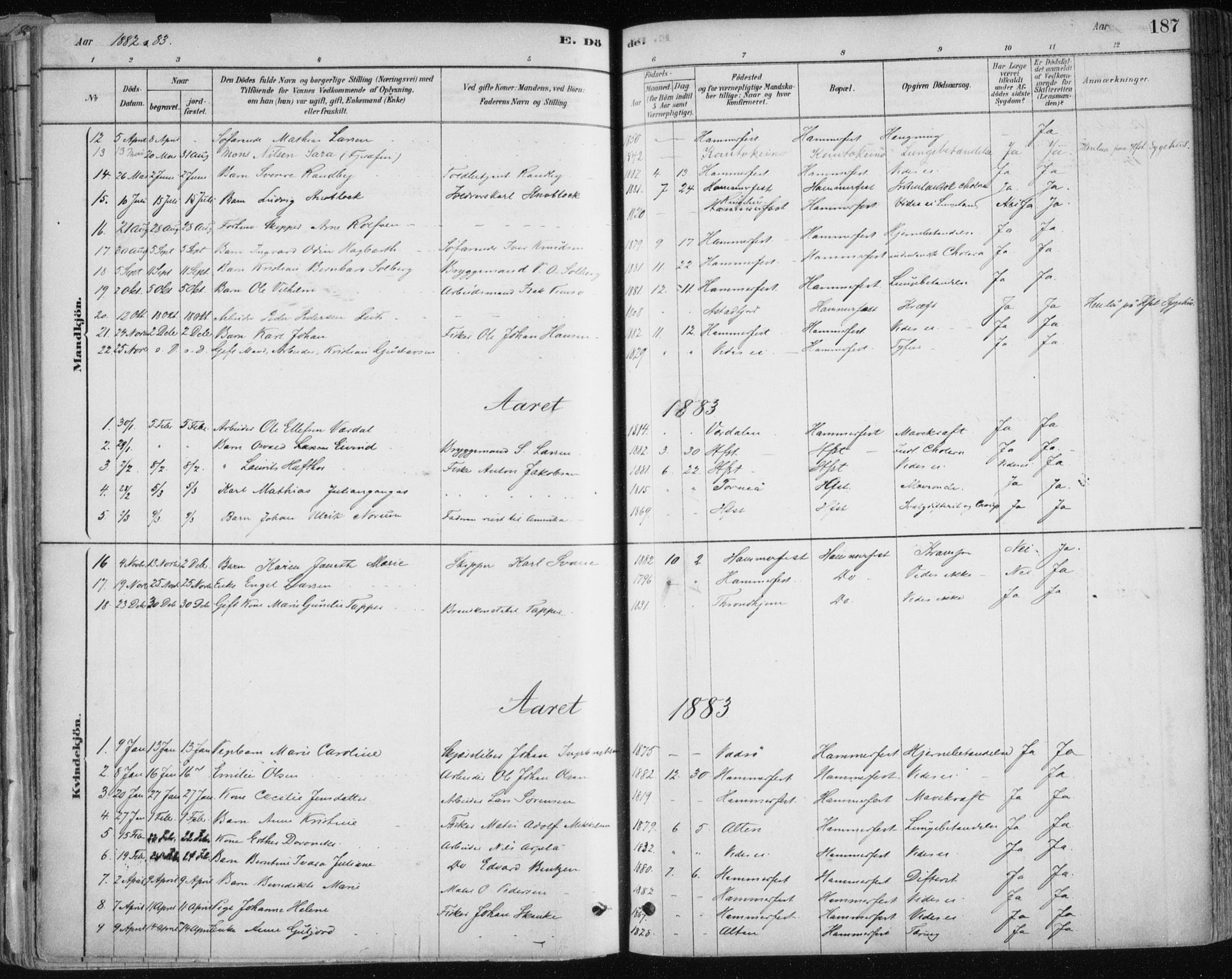Hammerfest sokneprestkontor, SATØ/S-1347/H/Ha/L0008.kirke: Parish register (official) no. 8, 1878-1889, p. 187