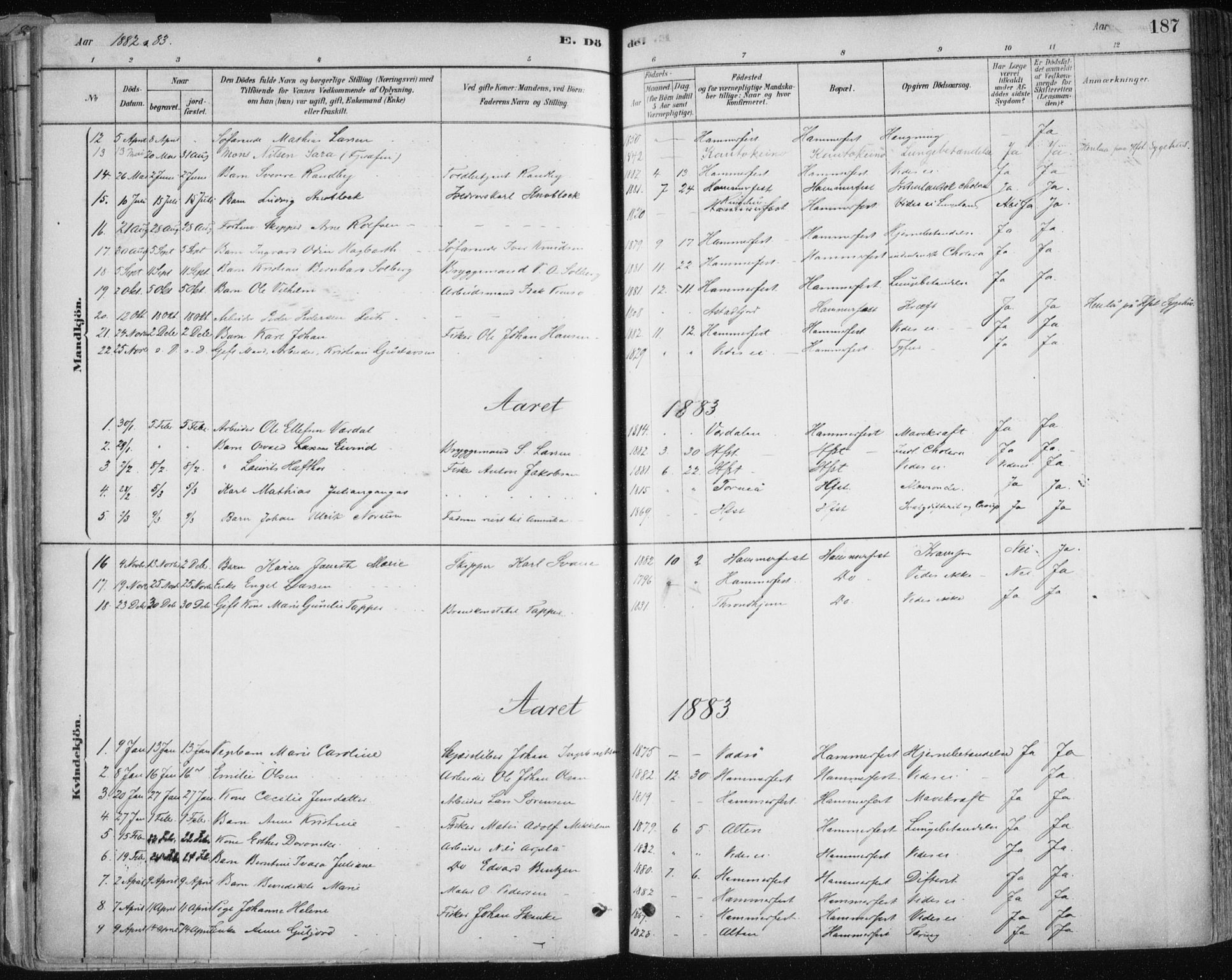 Hammerfest sokneprestkontor, AV/SATØ-S-1347/H/Ha/L0008.kirke: Parish register (official) no. 8, 1878-1889, p. 187