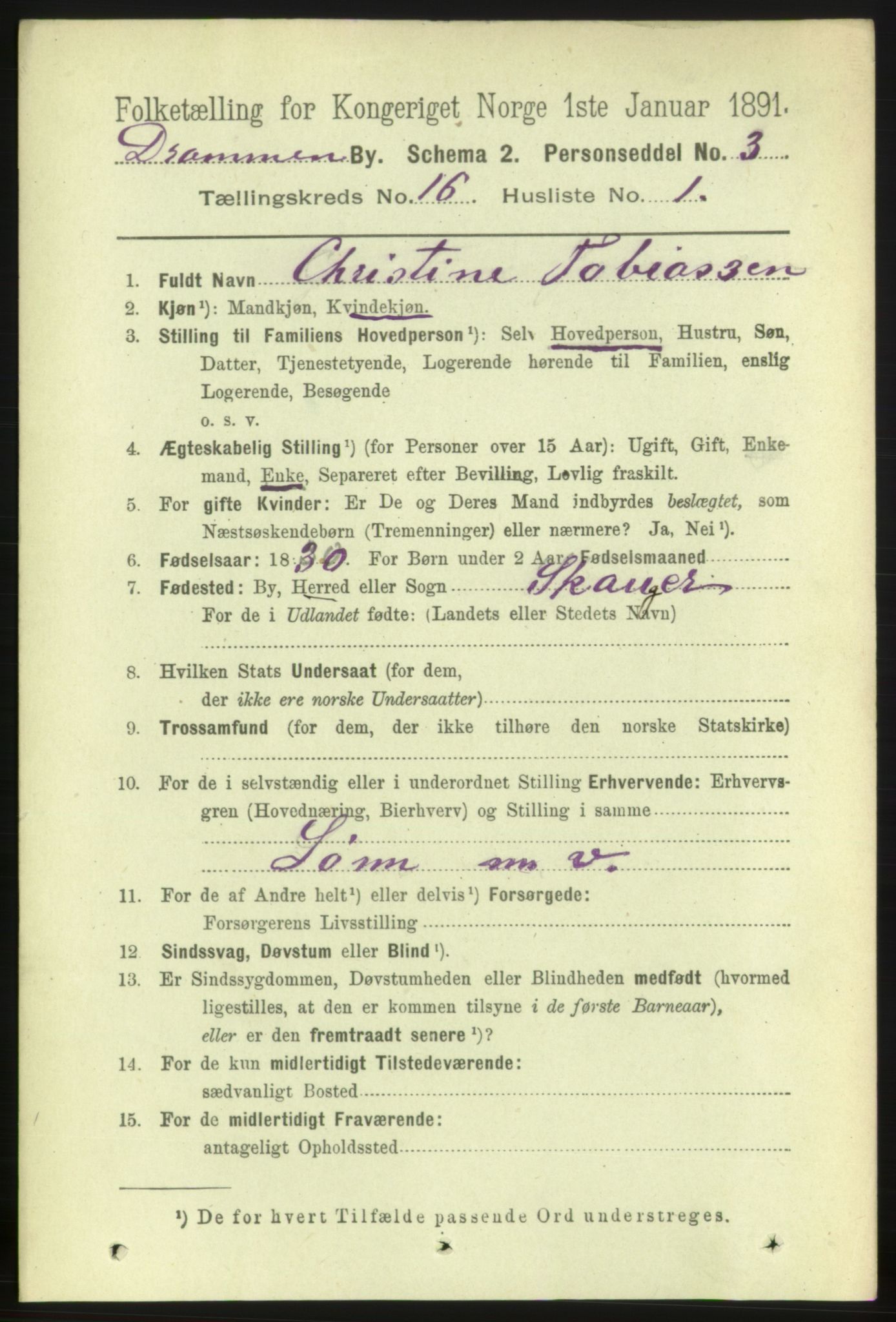 RA, 1891 census for 0602 Drammen, 1891, p. 10959