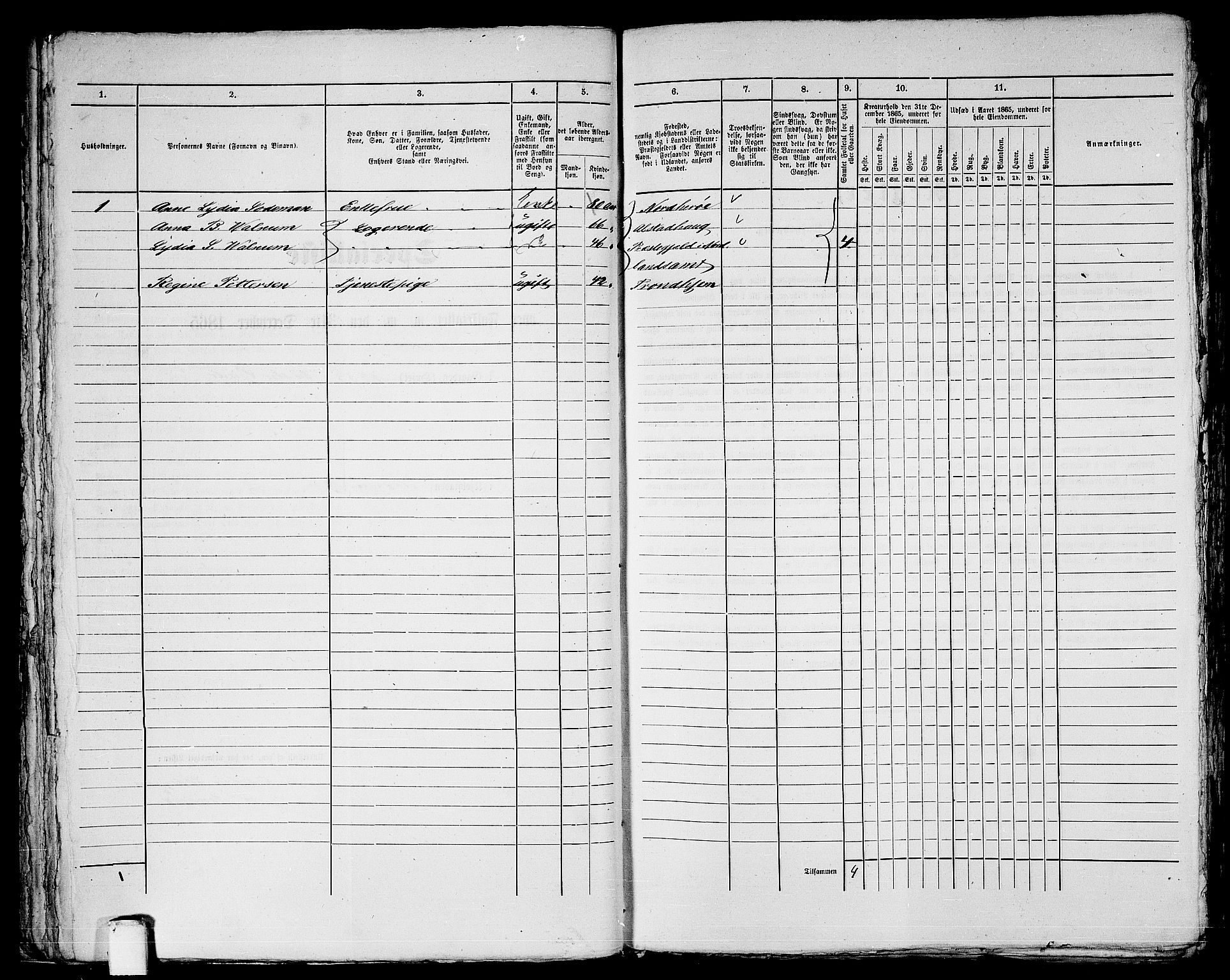 RA, 1865 census for Trondheim, 1865, p. 1127