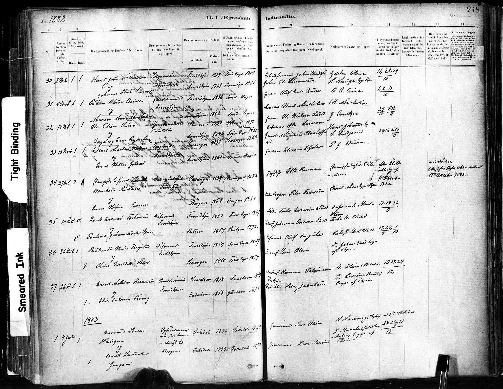 Ministerialprotokoller, klokkerbøker og fødselsregistre - Sør-Trøndelag, SAT/A-1456/602/L0119: Parish register (official) no. 602A17, 1880-1901, p. 248