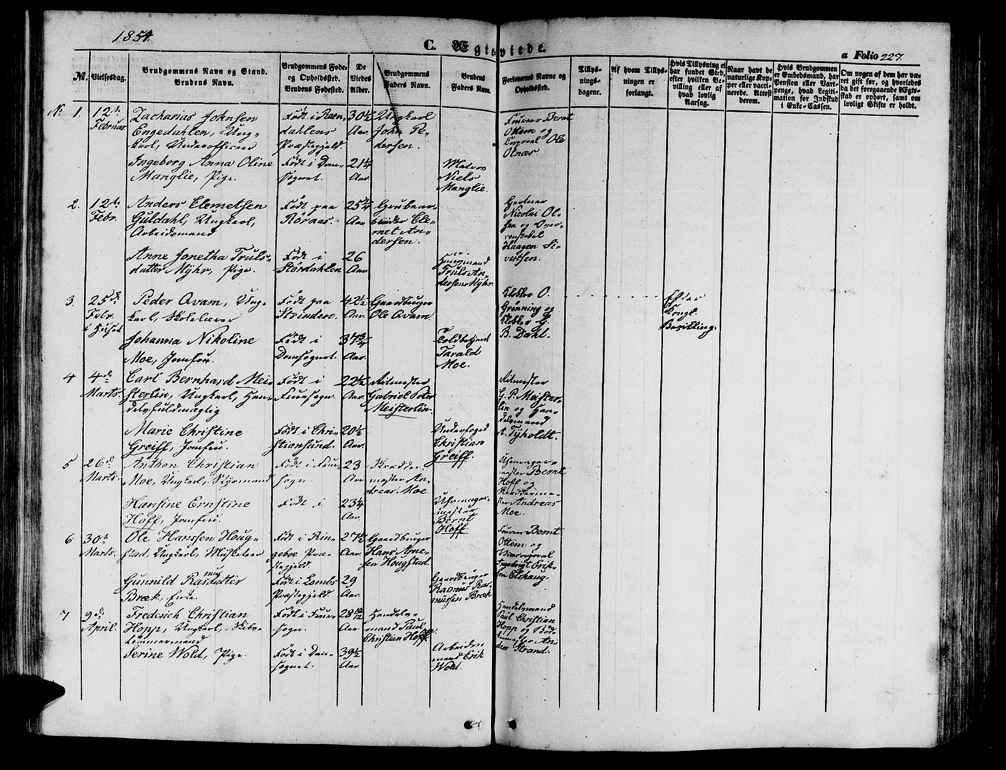 Ministerialprotokoller, klokkerbøker og fødselsregistre - Sør-Trøndelag, AV/SAT-A-1456/602/L0137: Parish register (copy) no. 602C05, 1846-1856, p. 227