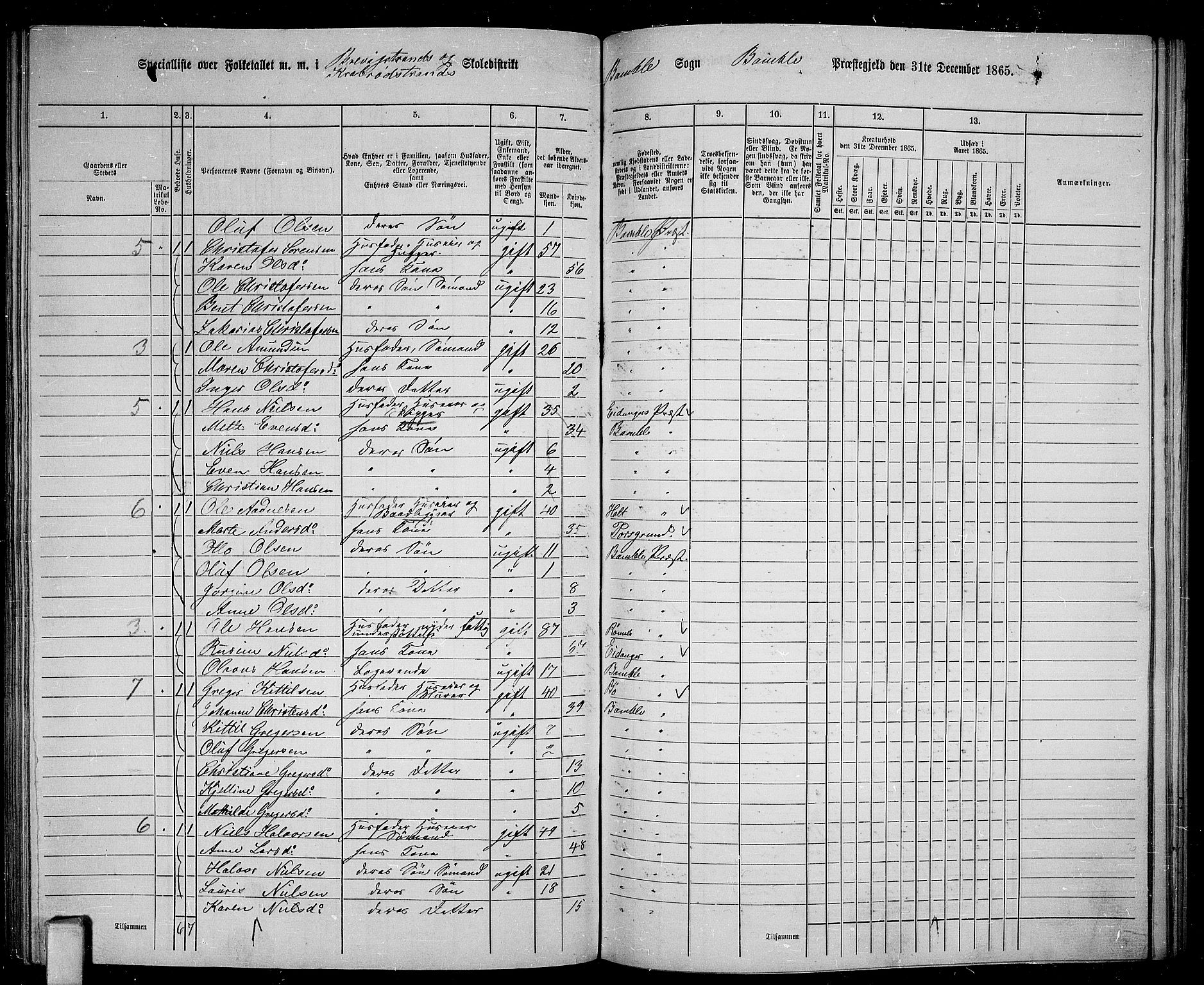 RA, 1865 census for Bamble, 1865, p. 139