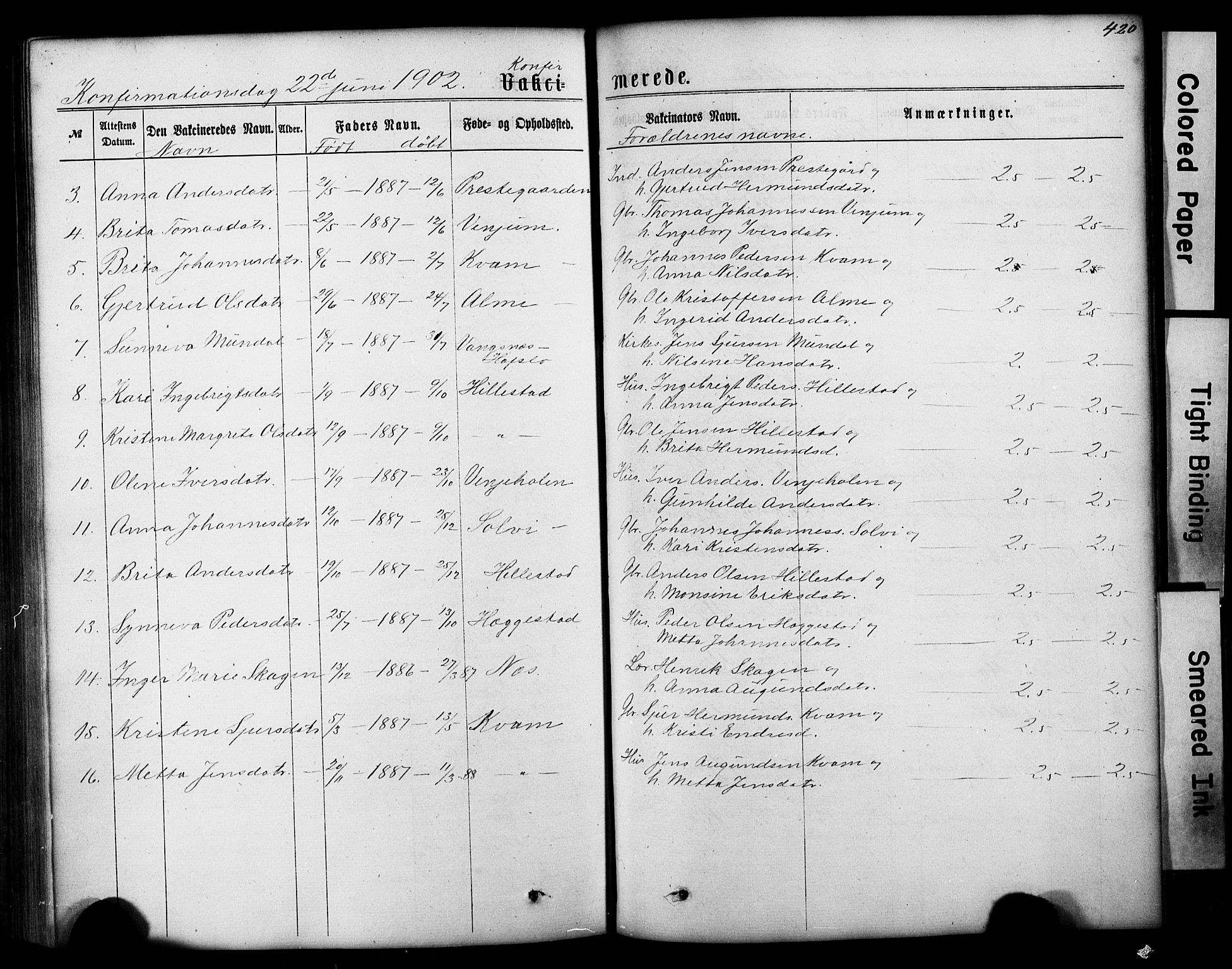 Hafslo sokneprestembete, AV/SAB-A-80301/H/Hab/Haba/L0001: Parish register (copy) no. A 1, 1866-1908, p. 420