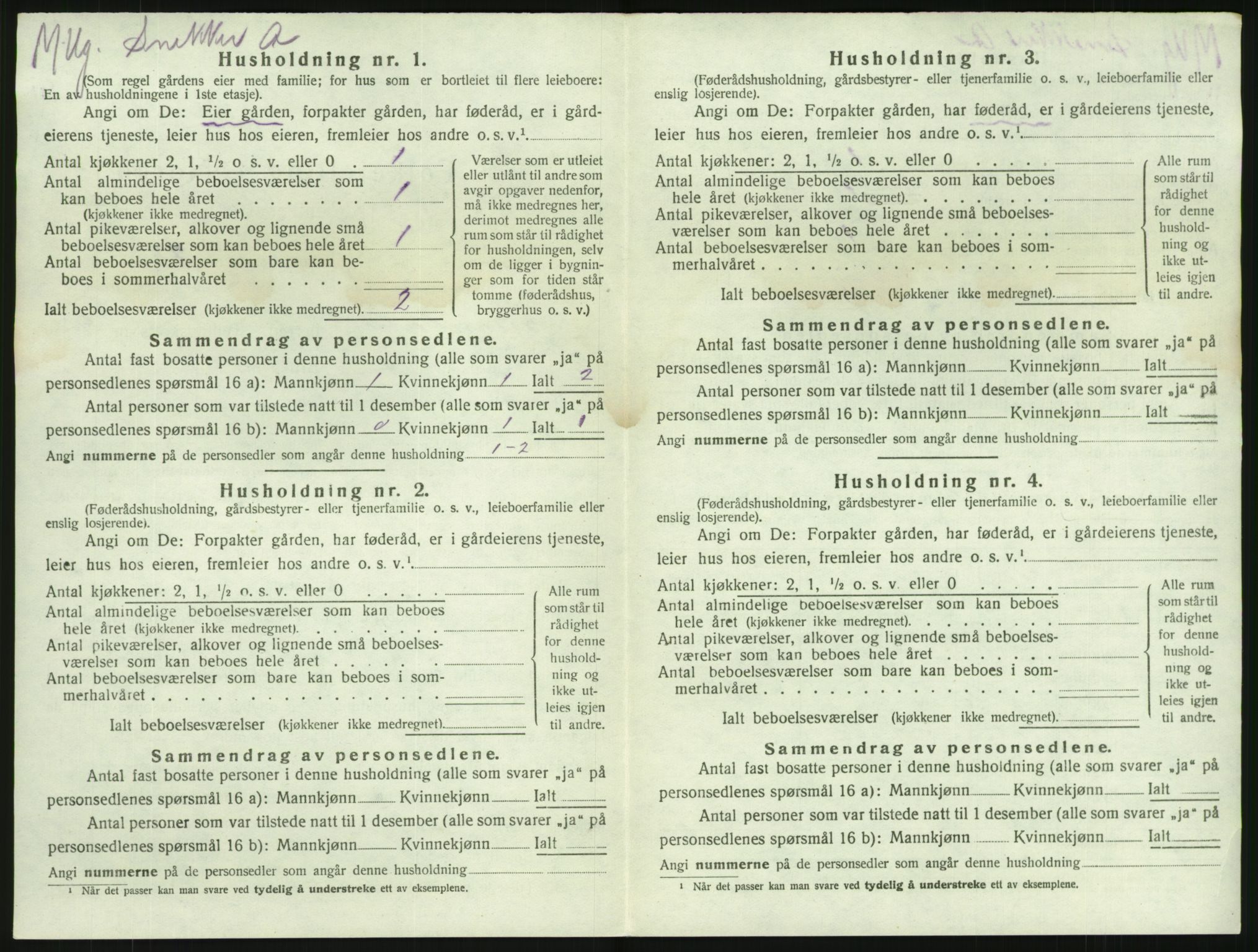 SAKO, 1920 census for Brunlanes, 1920, p. 1236