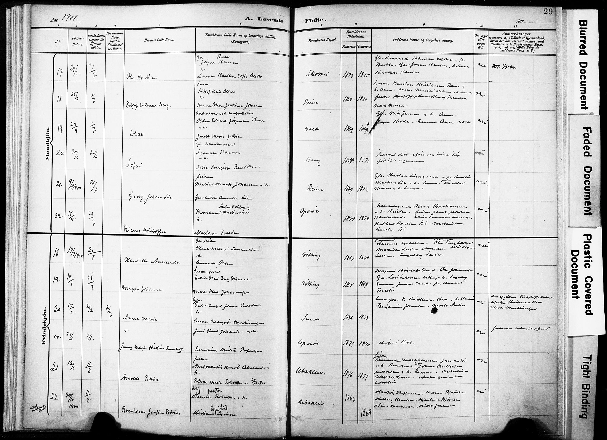 Ministerialprotokoller, klokkerbøker og fødselsregistre - Nordland, AV/SAT-A-1459/881/L1151: Parish register (official) no. 881A04, 1899-1907, p. 29