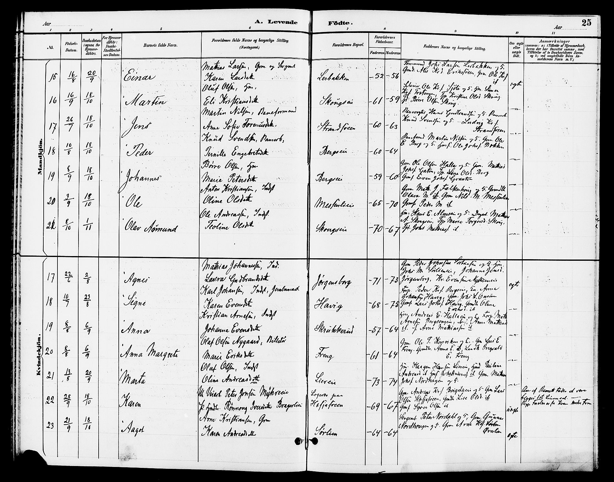 Ringsaker prestekontor, AV/SAH-PREST-014/L/La/L0013: Parish register (copy) no. 13, 1891-1904, p. 25