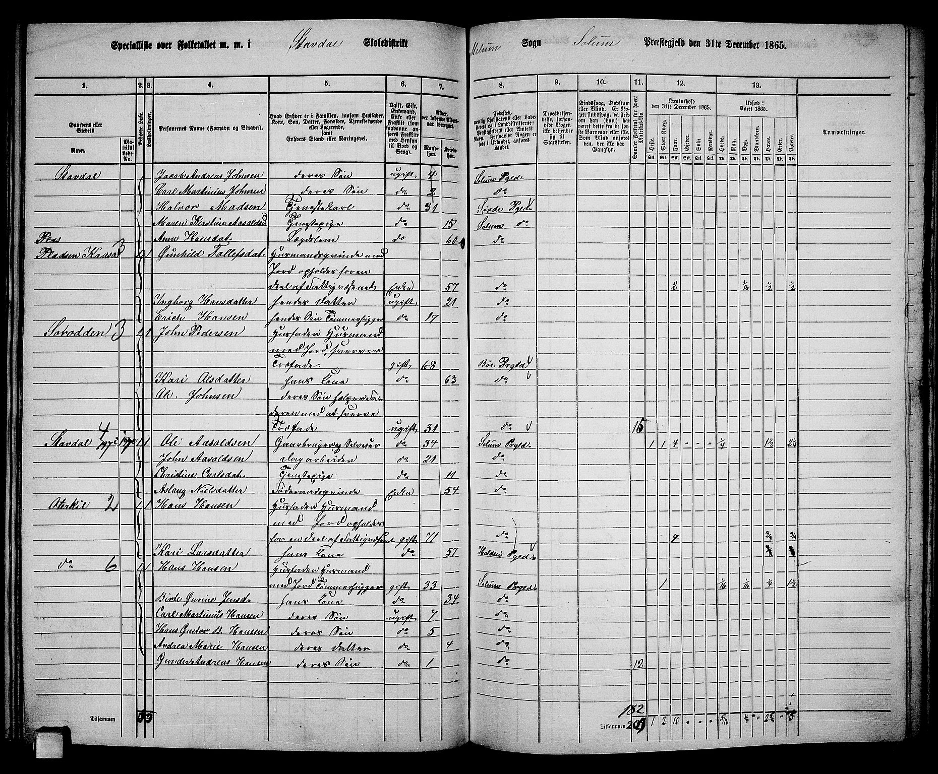 RA, 1865 census for Solum, 1865, p. 166